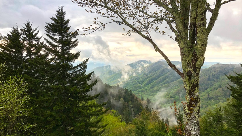 More than 800 miles of trails and 384 miles of road lead to viewpoints of the namesake haze and old-growth forests of Great Smoky Mountains National Park. Photo by MeLinda Schnyder.