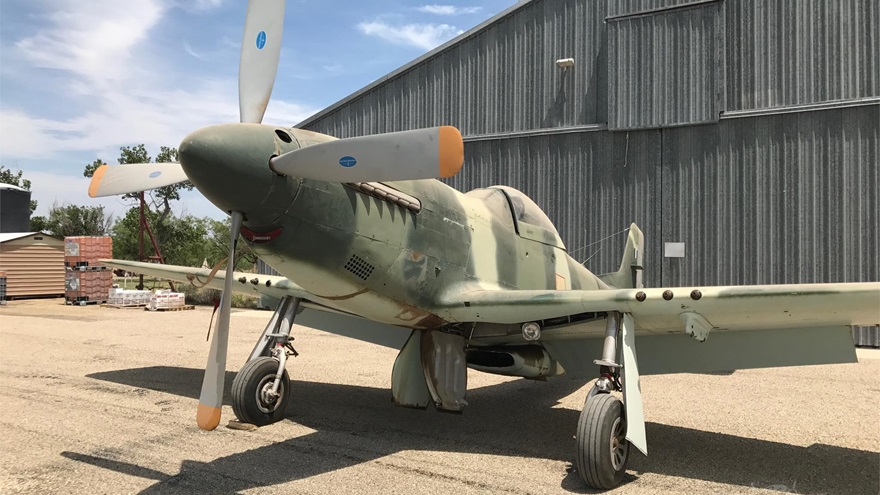 This P–51D Mustang, the last of many warbirds accumulated over the years by Texas businessman and longtime AOPA member Connie Edwards, is for sale. It has been tucked in a hangar since 1983, and remains in original condition. Photo courtesy of Platinum Fighter Sales. 