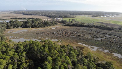 The developers of the Crane Island community are highly focused on protecting the trees and environment that make the island a natural retreat. Photo courtesy of Craneisland.com.