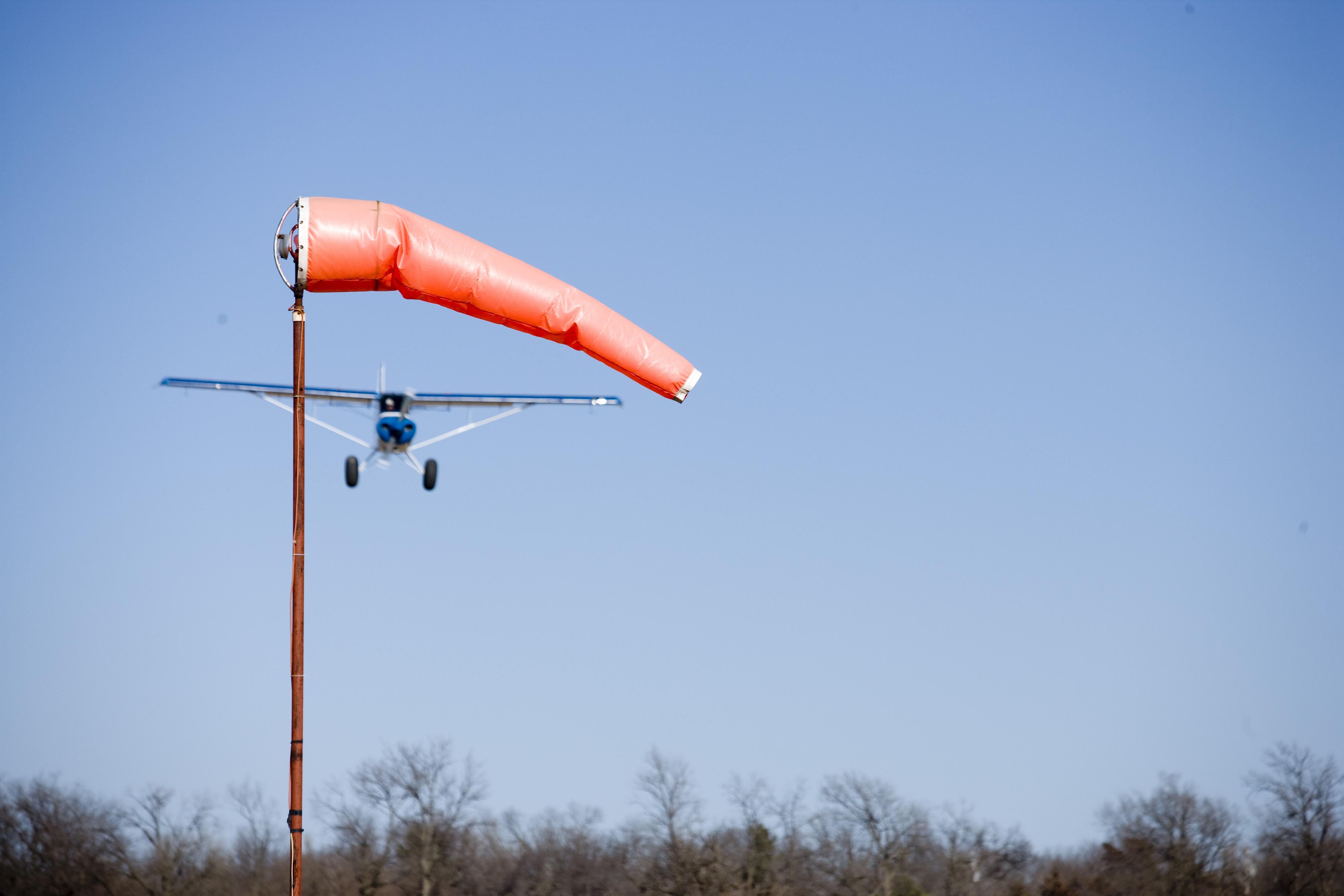 Photo by Mike Fizer.