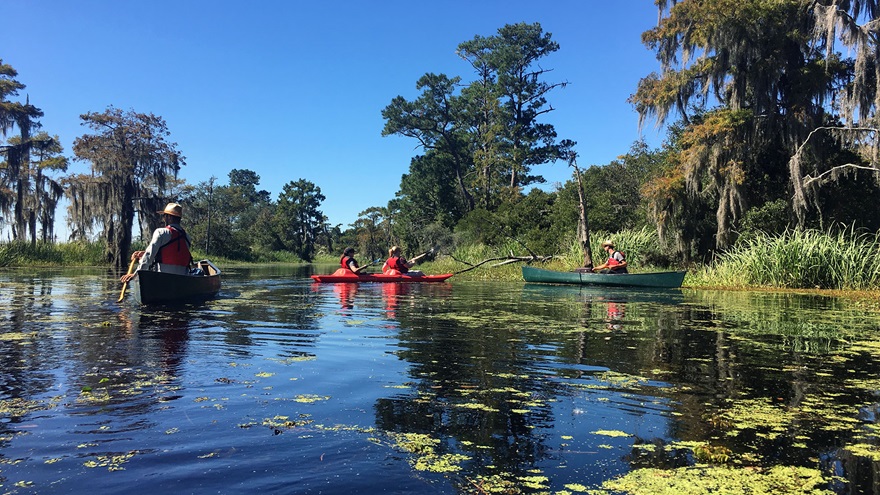 One of the best ways to explore Louisiana's Northshore is kayaking through area bayous. Photo by MeLinda Schnyder.