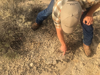 The Nature Conservancy's Matt Bain points out a clam shell, a reminder that the region was under water millions of years ago. Photo by MeLinda Schnyder.