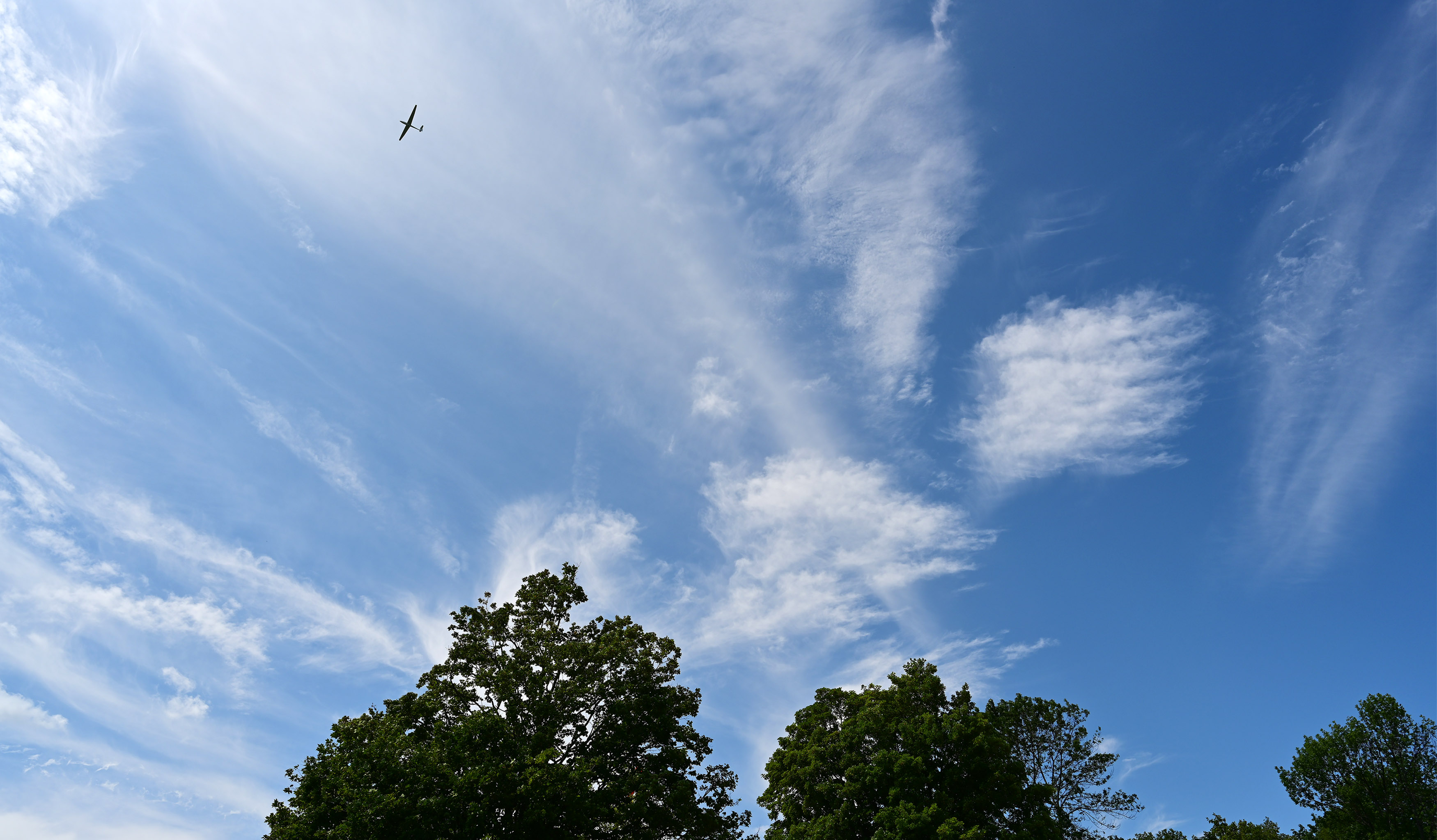 light logger cumulus soaring light logger cumulus soaring