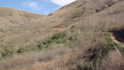 The helicopter impacted terrain about 1,000 feet above sea level. The decent rate was more than 2,000 feet per minute. NTSB photo via YouTube.