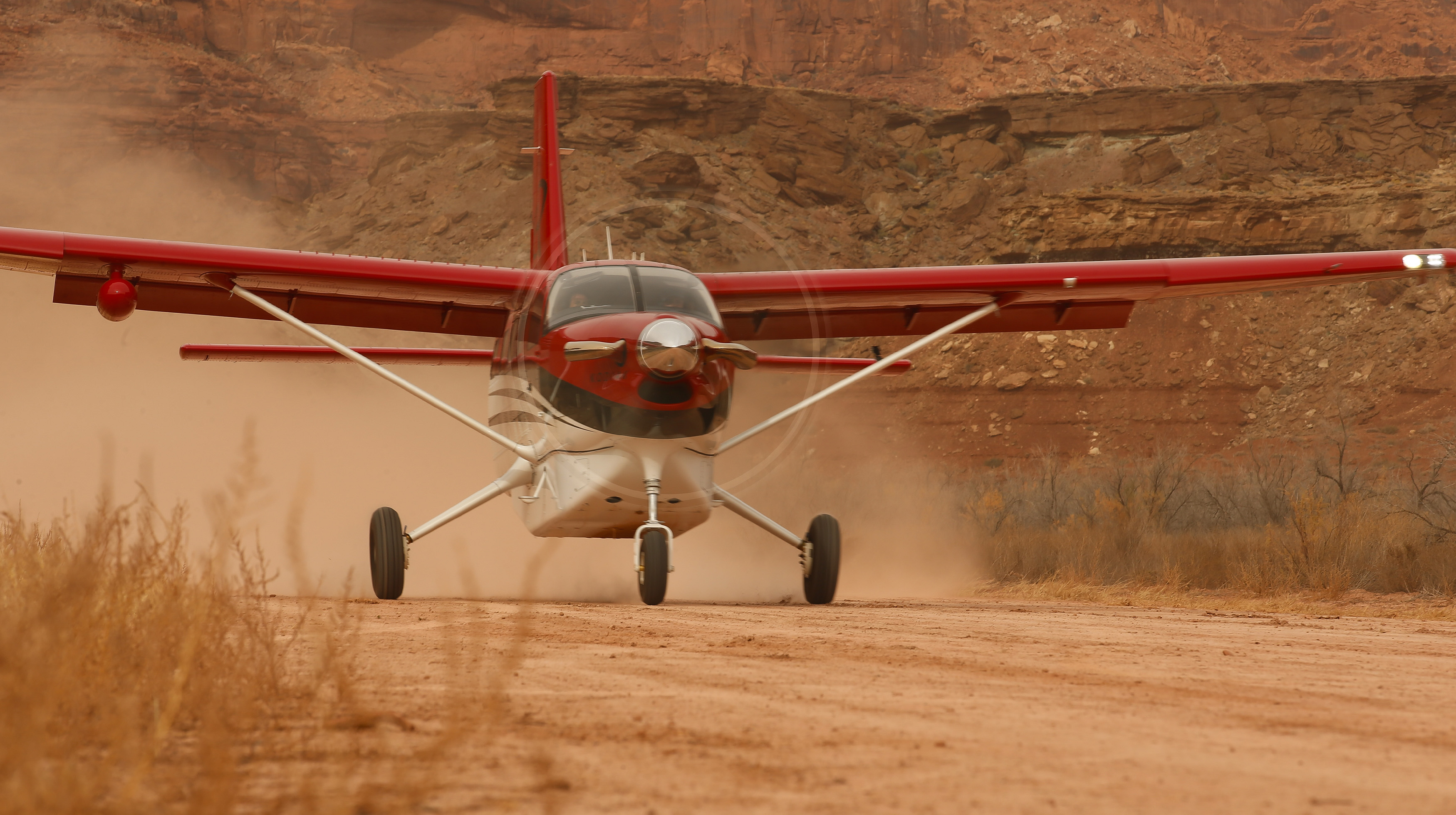 Photo by Chris Rose.