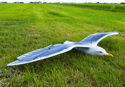 One of the Drone Bird Co.'s AVES gull drones, showing the elevons, spoilers, and folding prop. Photo courtesy of The Drone Bird Co.