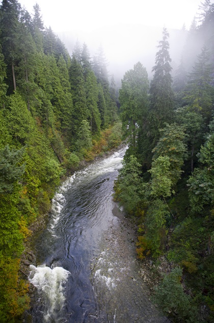 The view from the Capilano Suspension Bridge in North Vancouver, British Columbia, will take your breath away. Photo courtesy of Canadian Tourism Commission.