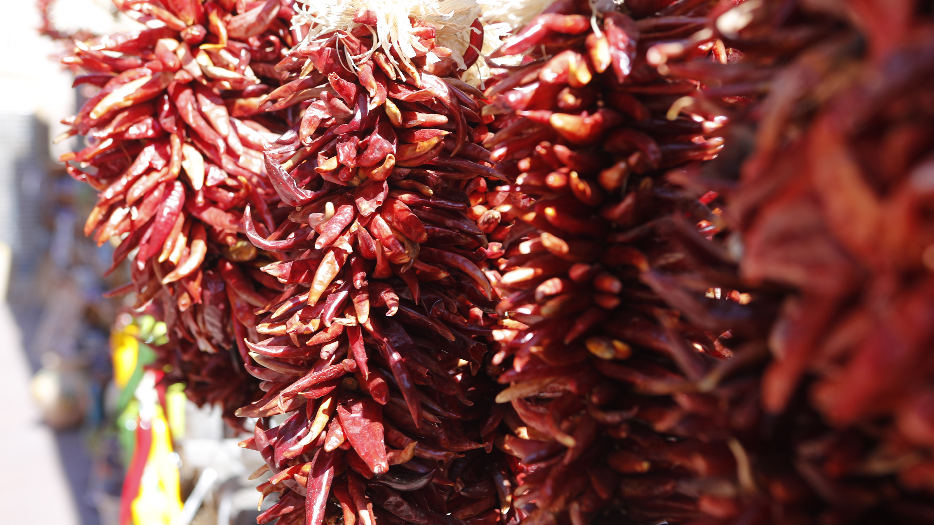 The chile pepper is New Mexico's state vegetable. Photo by Chris Rose.