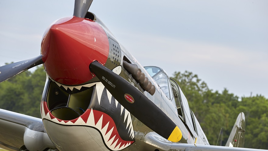 Warbird Adventures operates a TP-40 Warhawk. Photo by Mike Fizer.