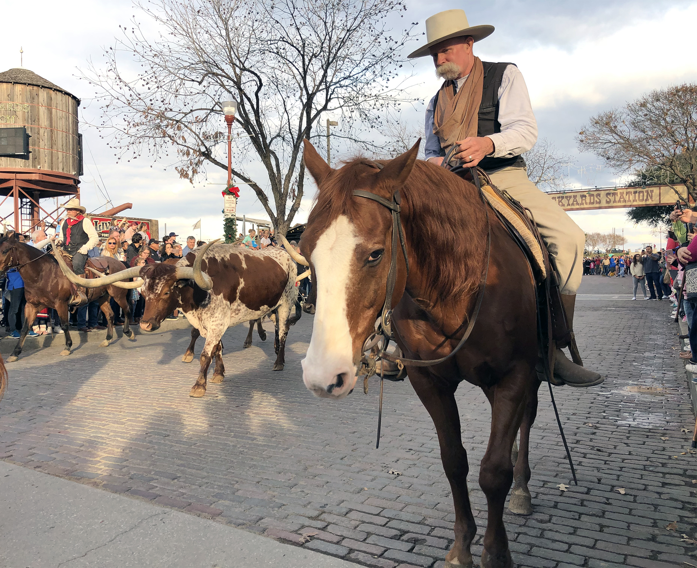 Real Texas cowhands drive a herd of Texas longhorns down East Exchange Avenue in the Stockyards National Historic District every day. Photo by MeLinda Schnyder.