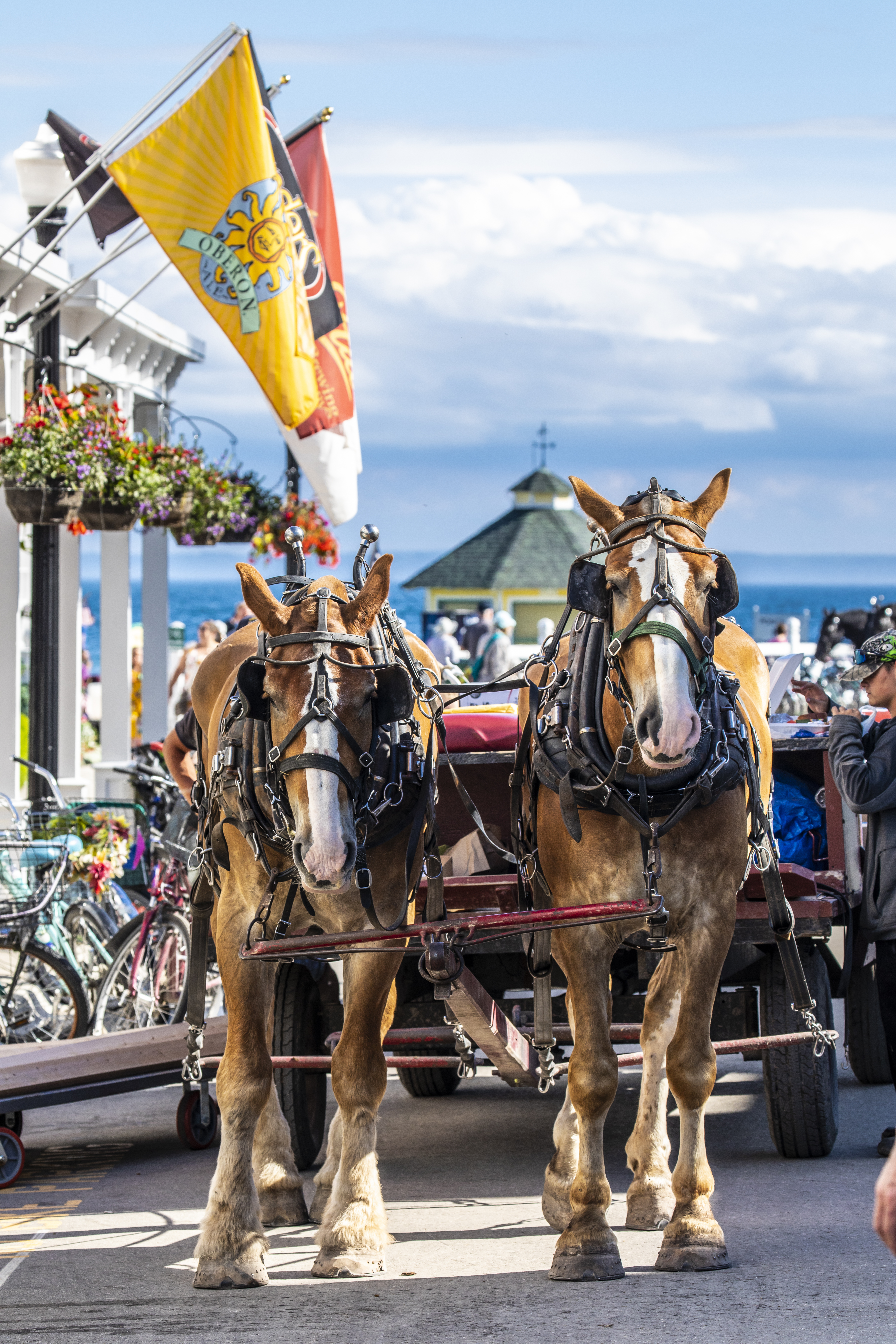 Horses are used to move luggage, groceries, and other items along the island. Photo courtesy of the Mackinac Island Tourism Bureau.