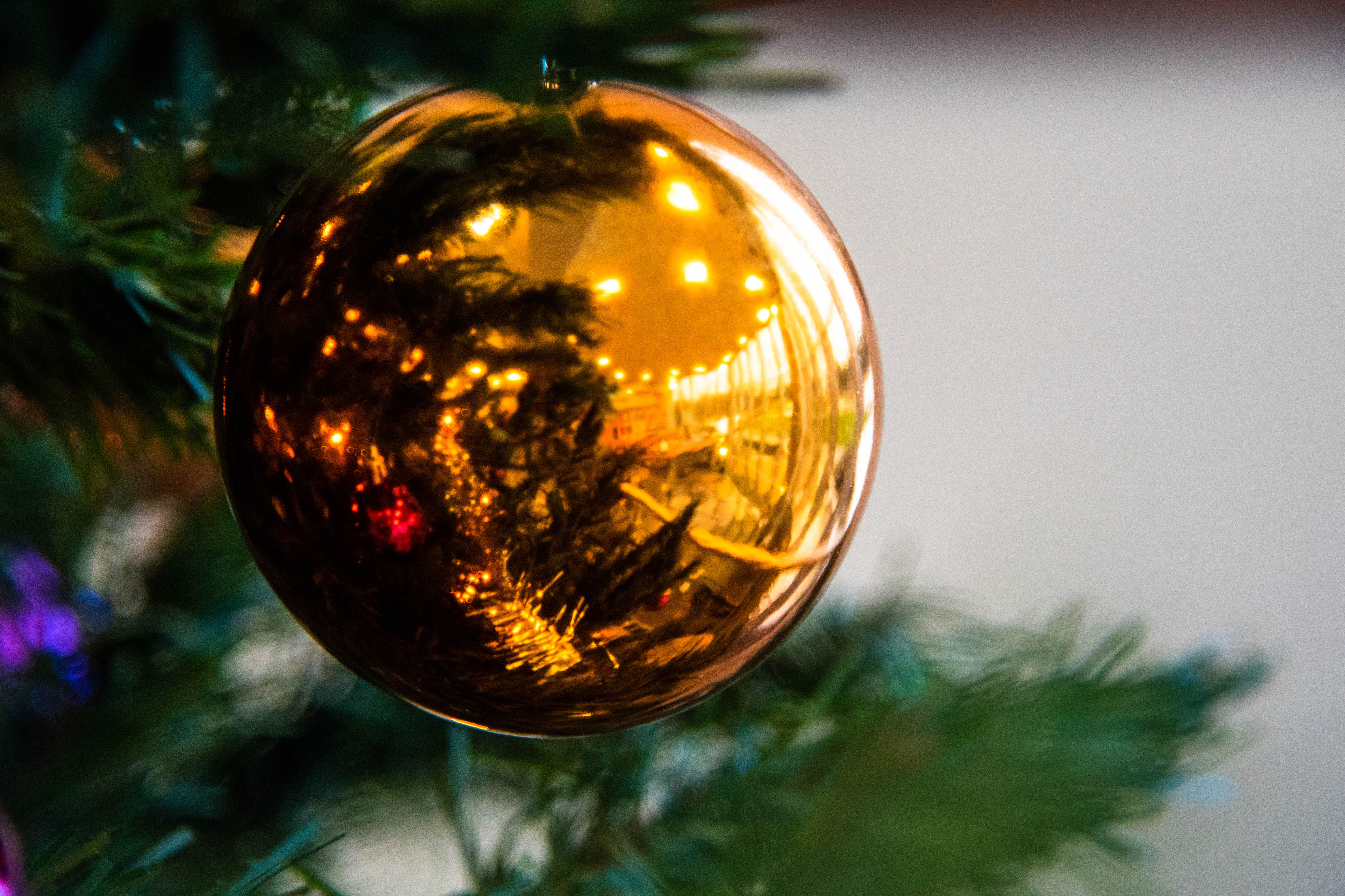 Holiday cheer adorns the Christmas trees at the Air Zoo’s holiday lobby. Photo courtesy of The Air Zoo.