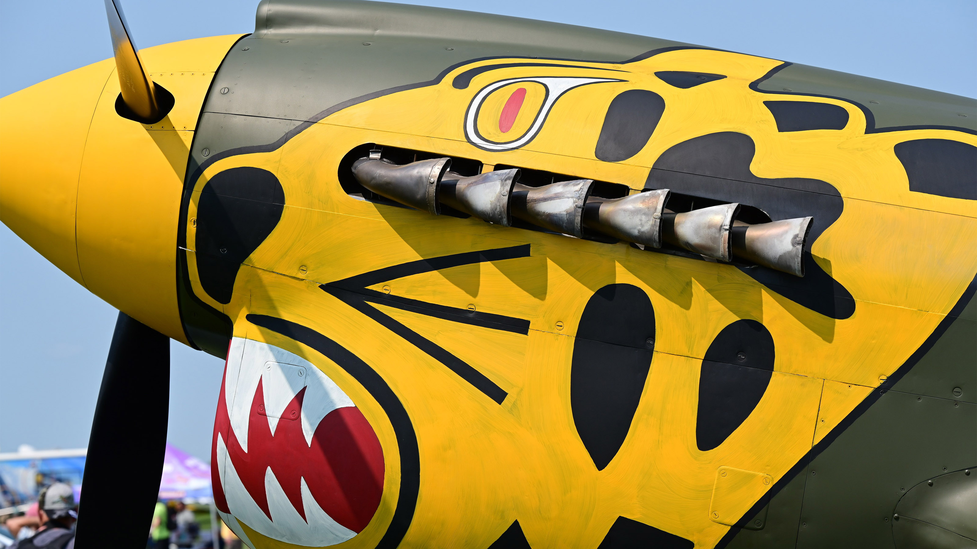 A Curtiss P-40 Warhawk fighter wears snarling jaguar nose paint in the warbirds area during EAA AirVenture July 27. Photo by David Tulis.