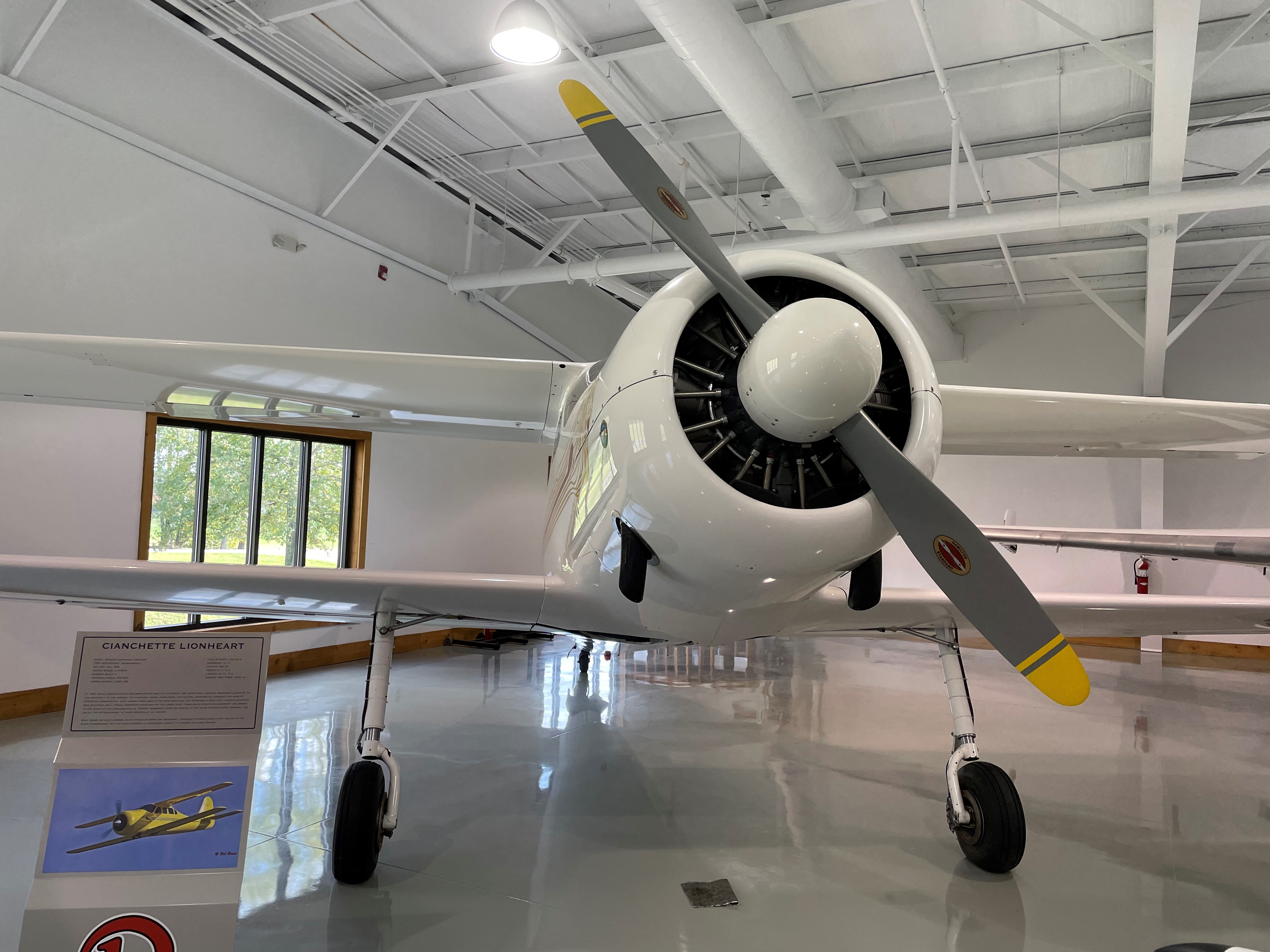 A Cianchette Lionheart is one of the many airplanes in the Beechcraft Heritage Museum's collection. Photo by Madison Murray.