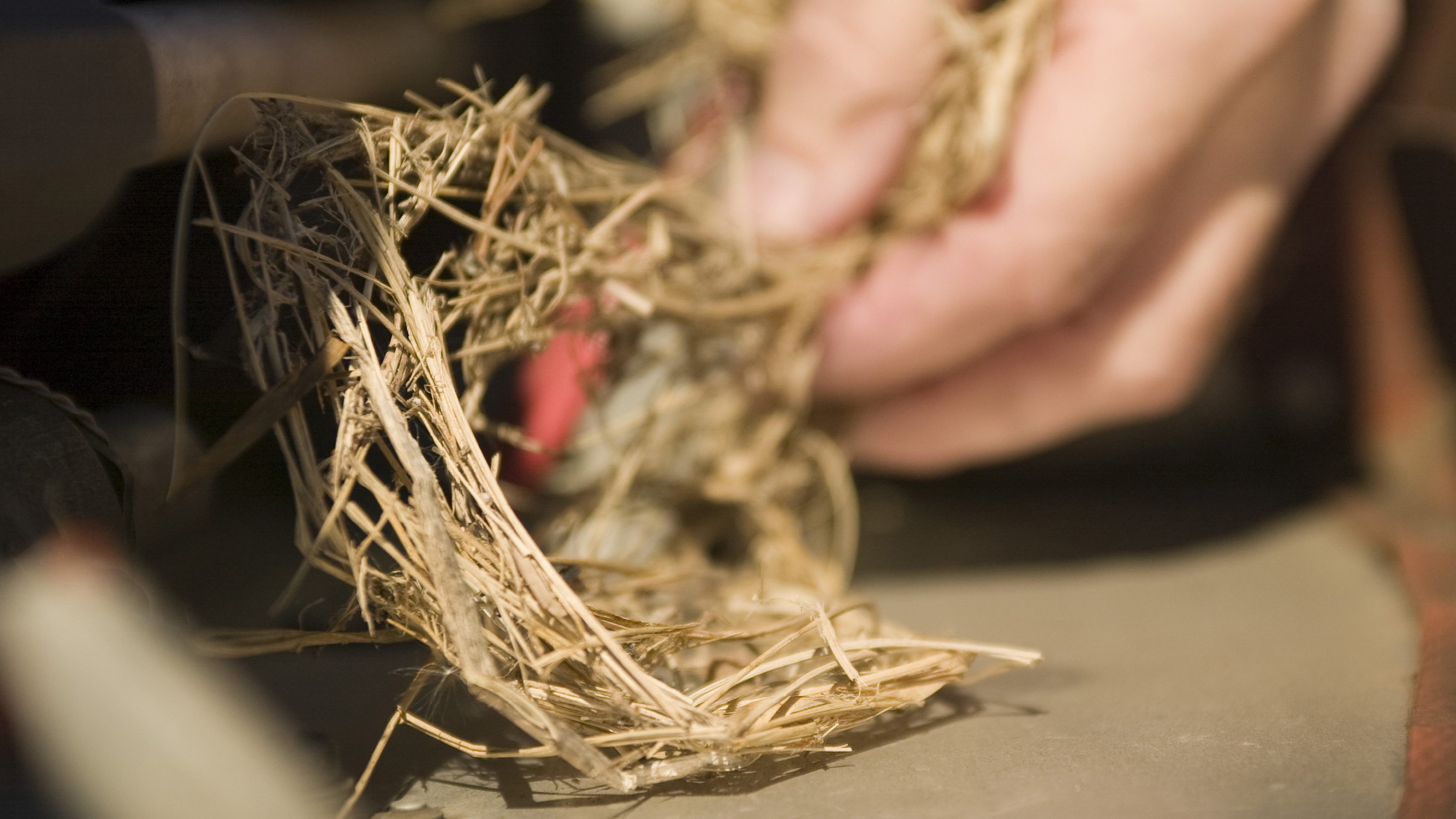 Photo by Mike Fizer.