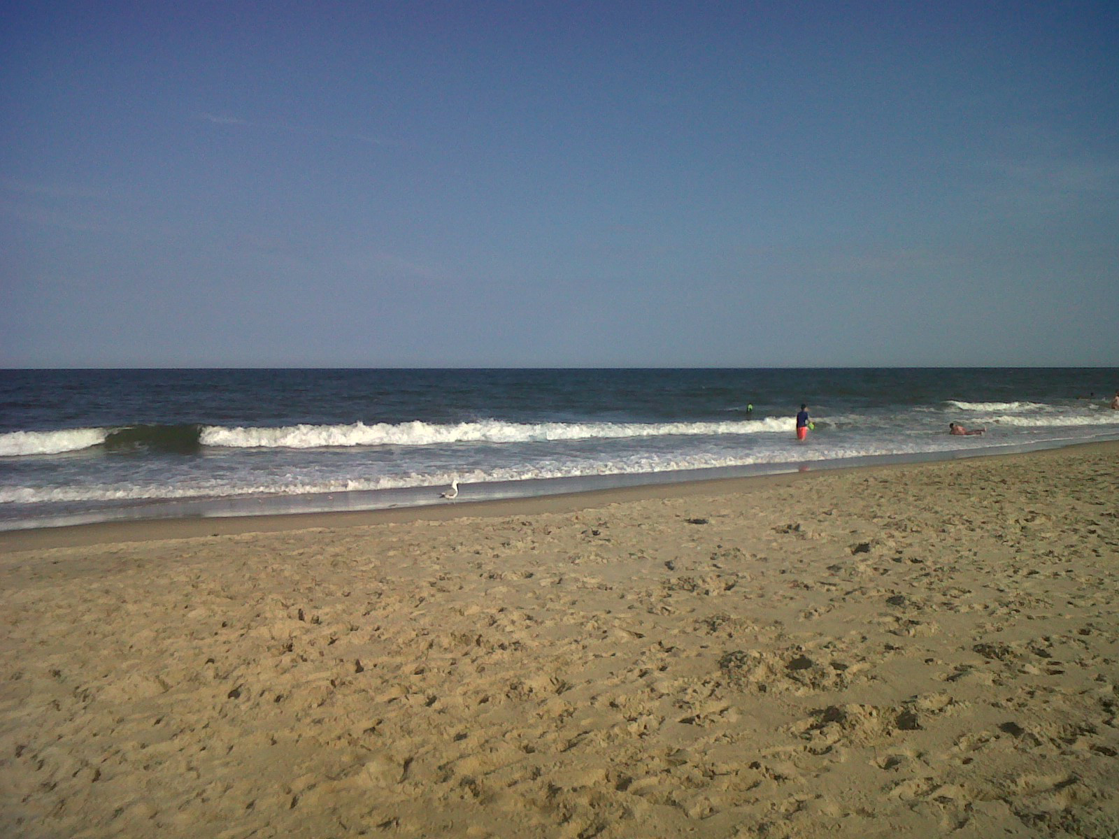 Photo by Julie Summers Walker.