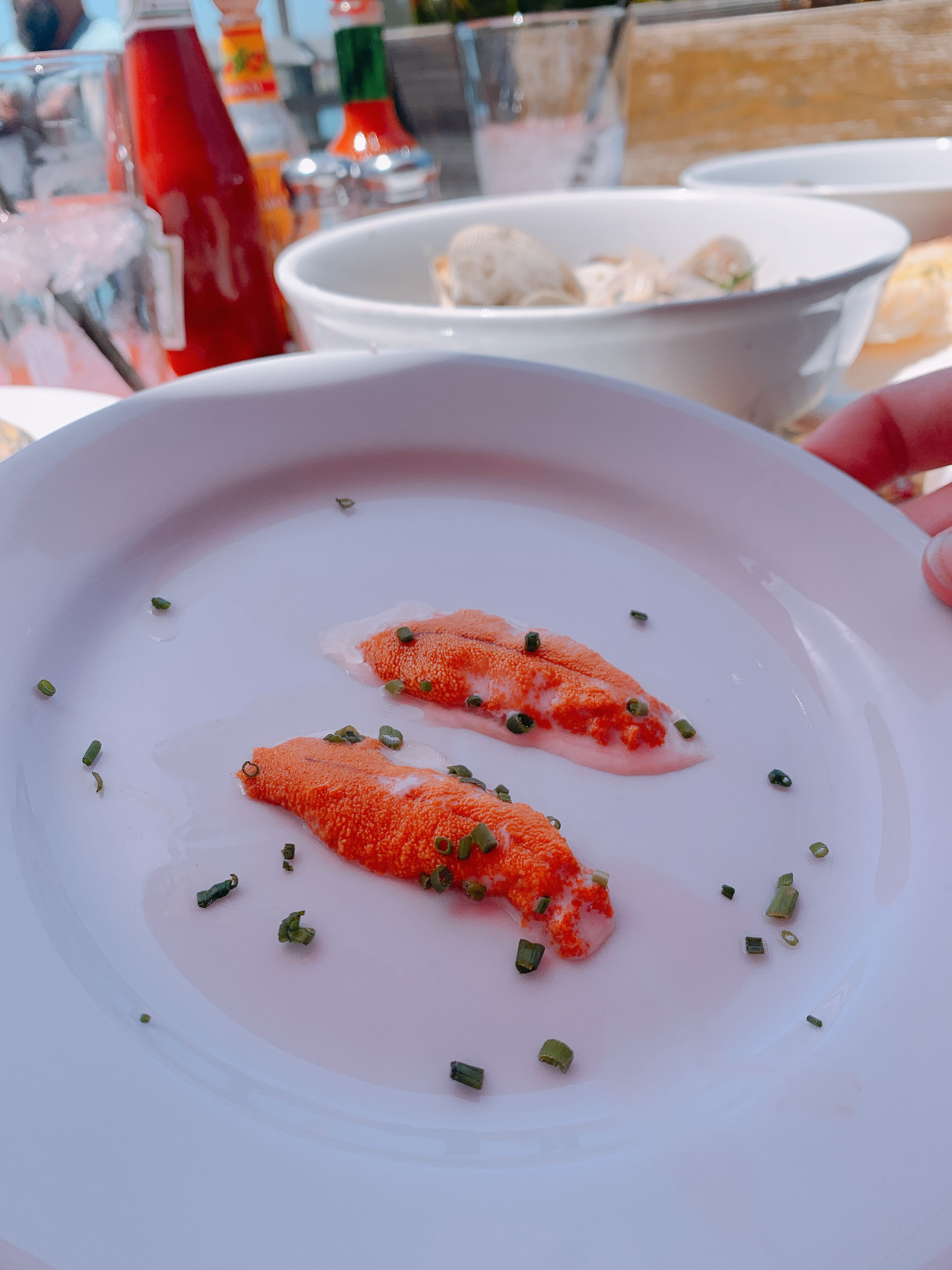 Uni (sea urchin) roe. Generally considered an acquired taste, this delicacy is worth trying at least once. Photo by Alicia Herron.
