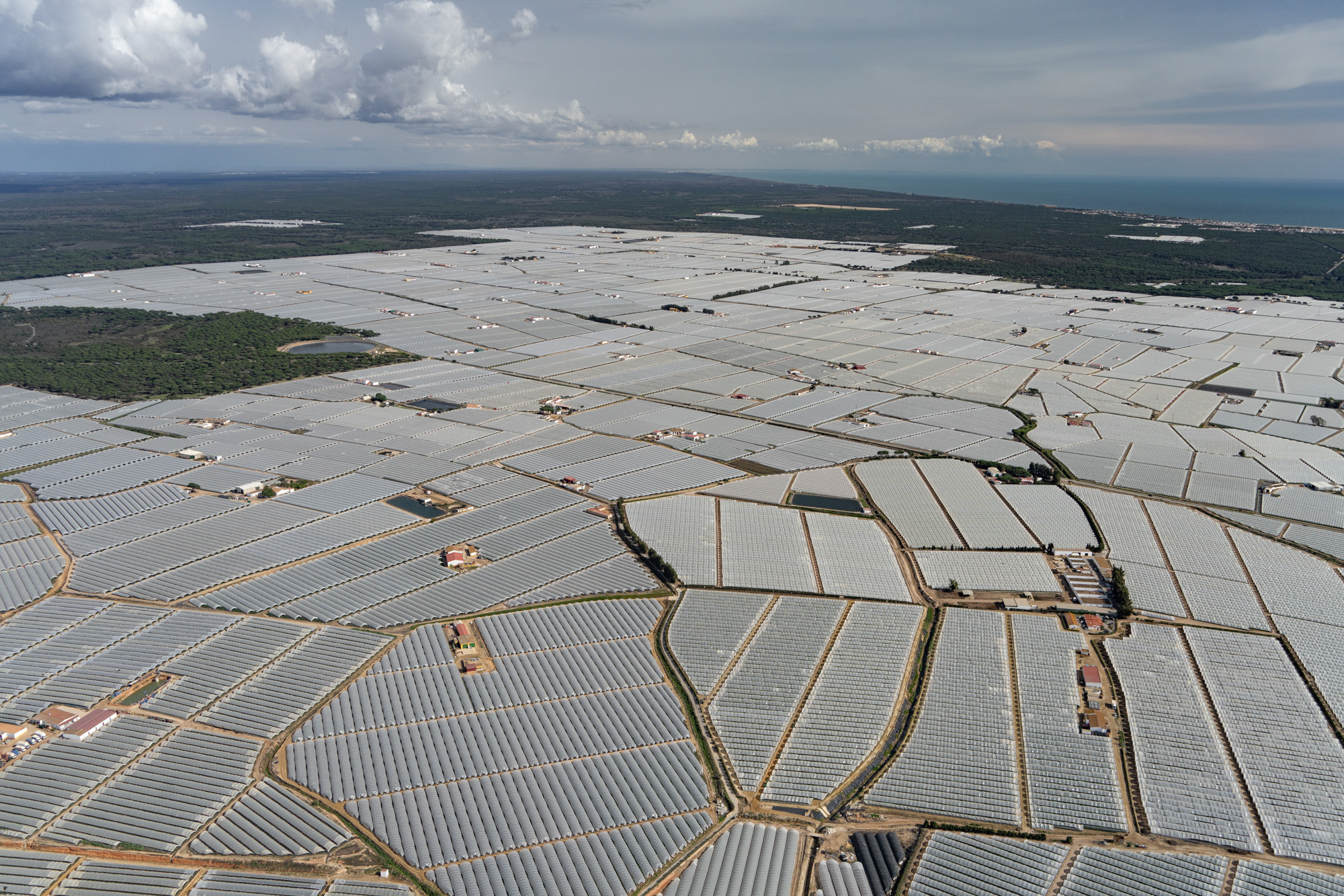 Greenhouses east of Huelva, Spain, along the Atlantic. Photo by Garrett Fisher.