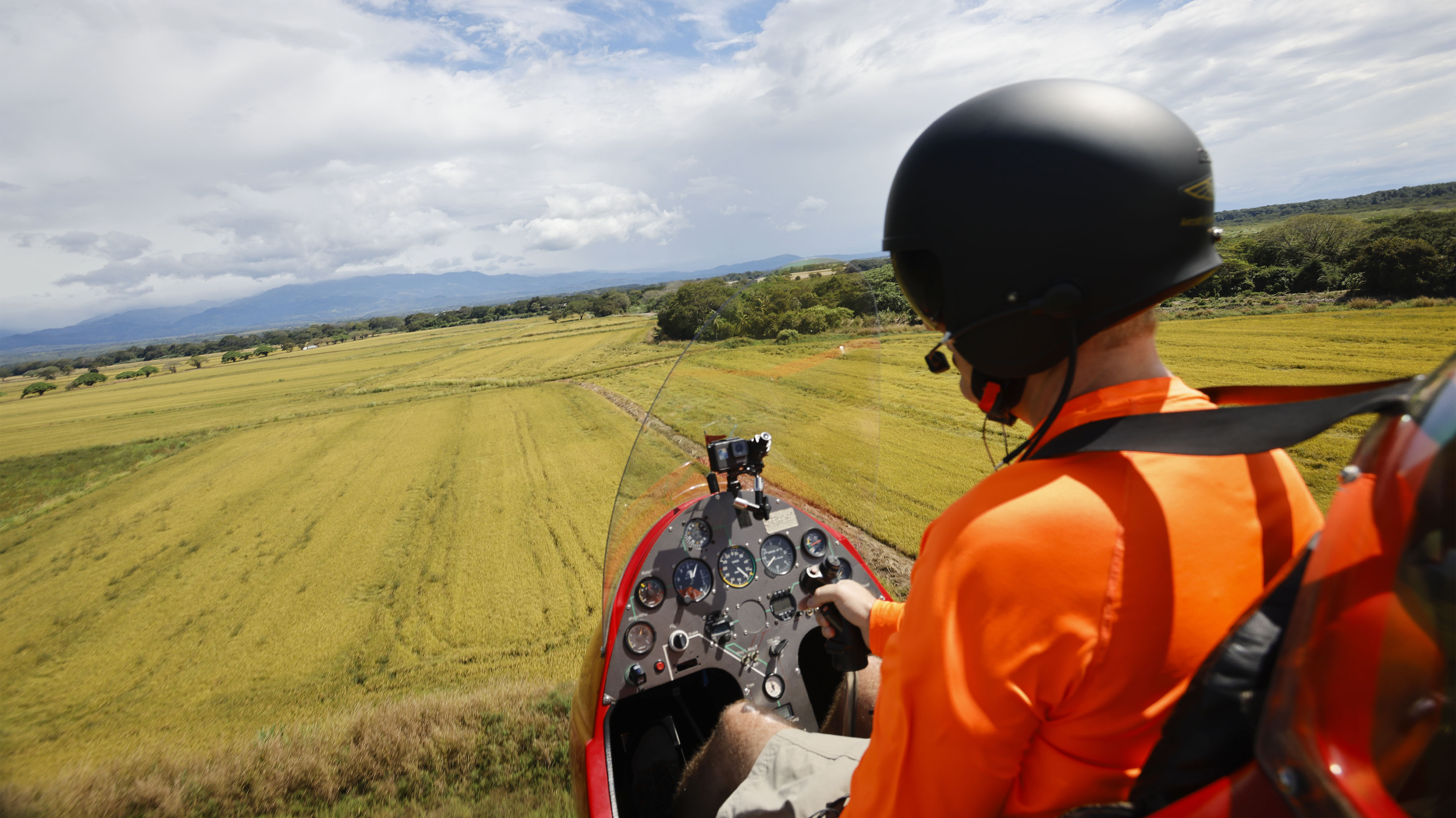 Photo by Chris Rose.