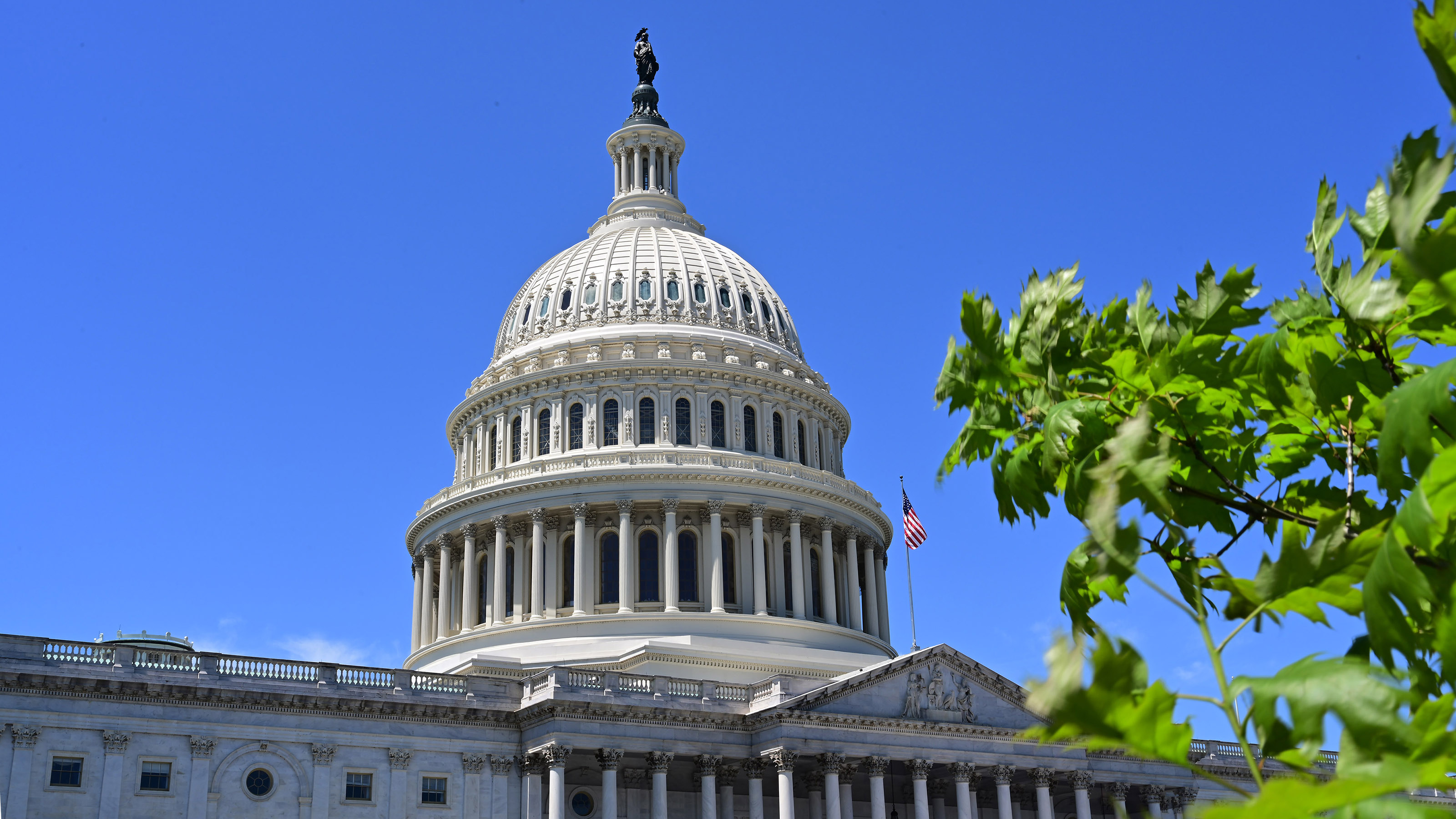 Photo by David Tulis.