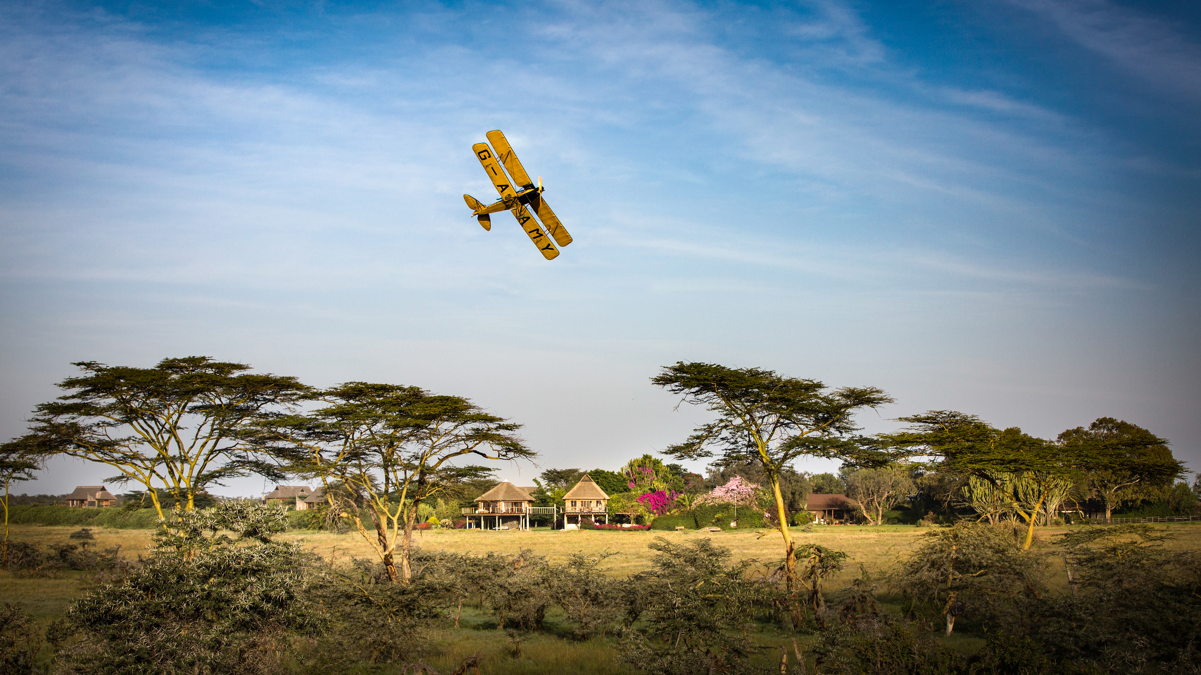 Photo courtesy of RM Sotheby's.