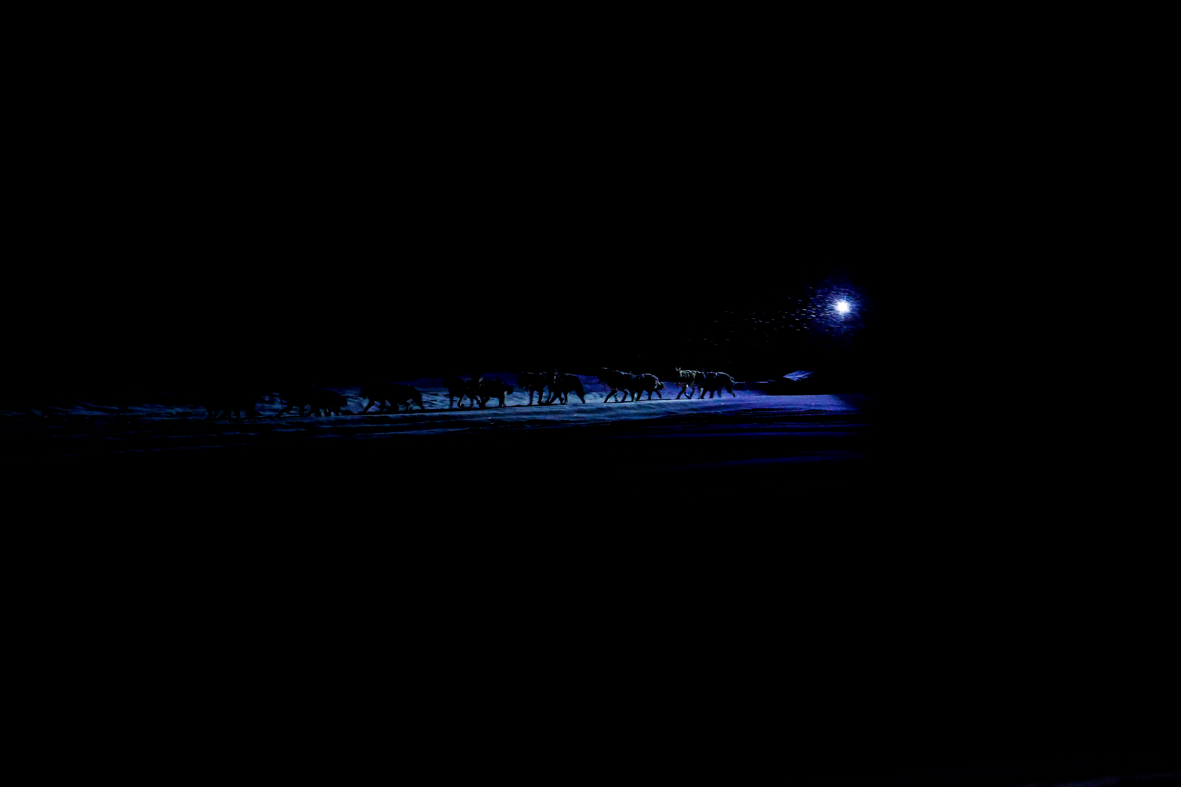 Top teams average more than 100 miles per day, finishing the 975-mile course in just over nine days. Photo by Chris Rose.