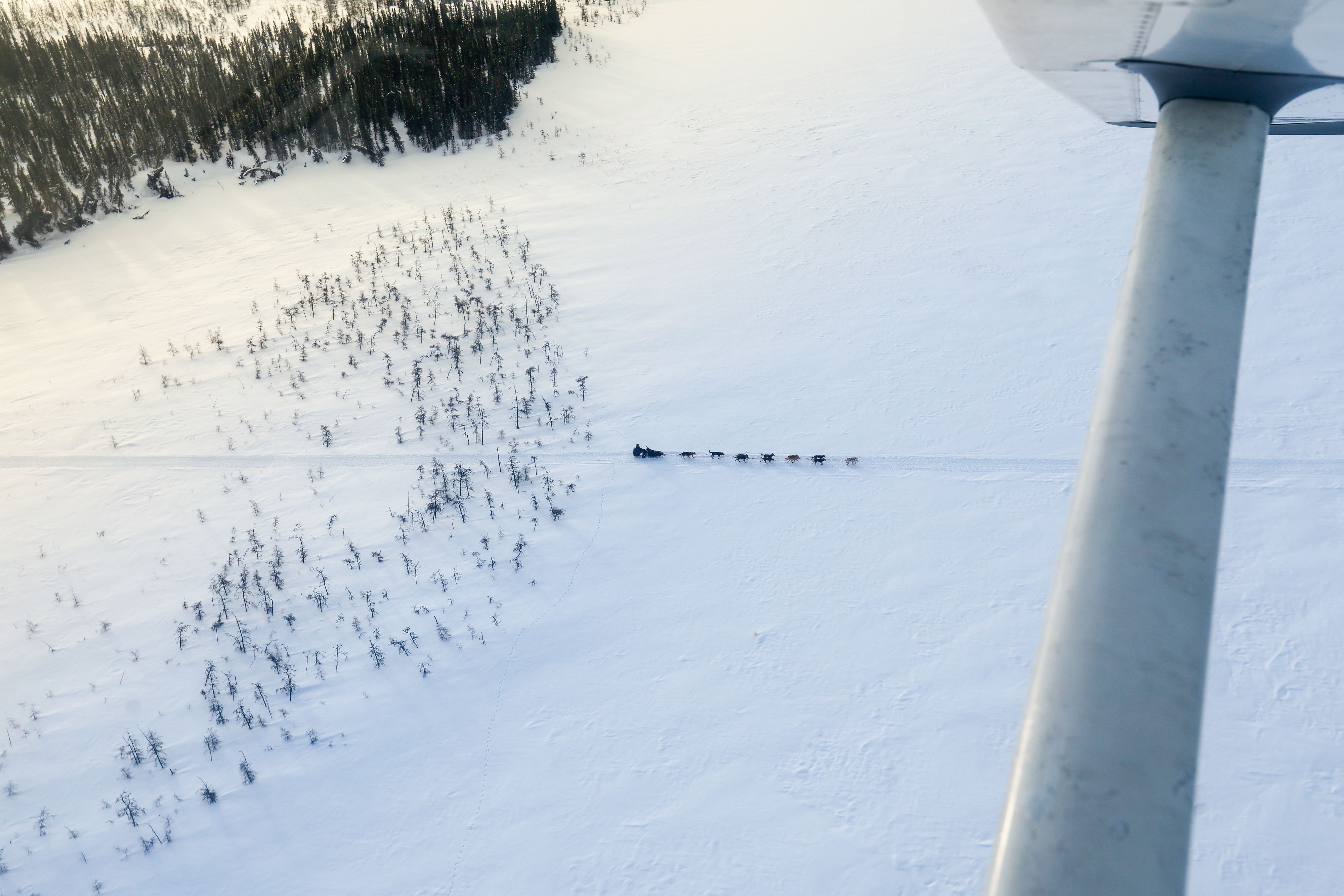 Photo by Chris Rose.