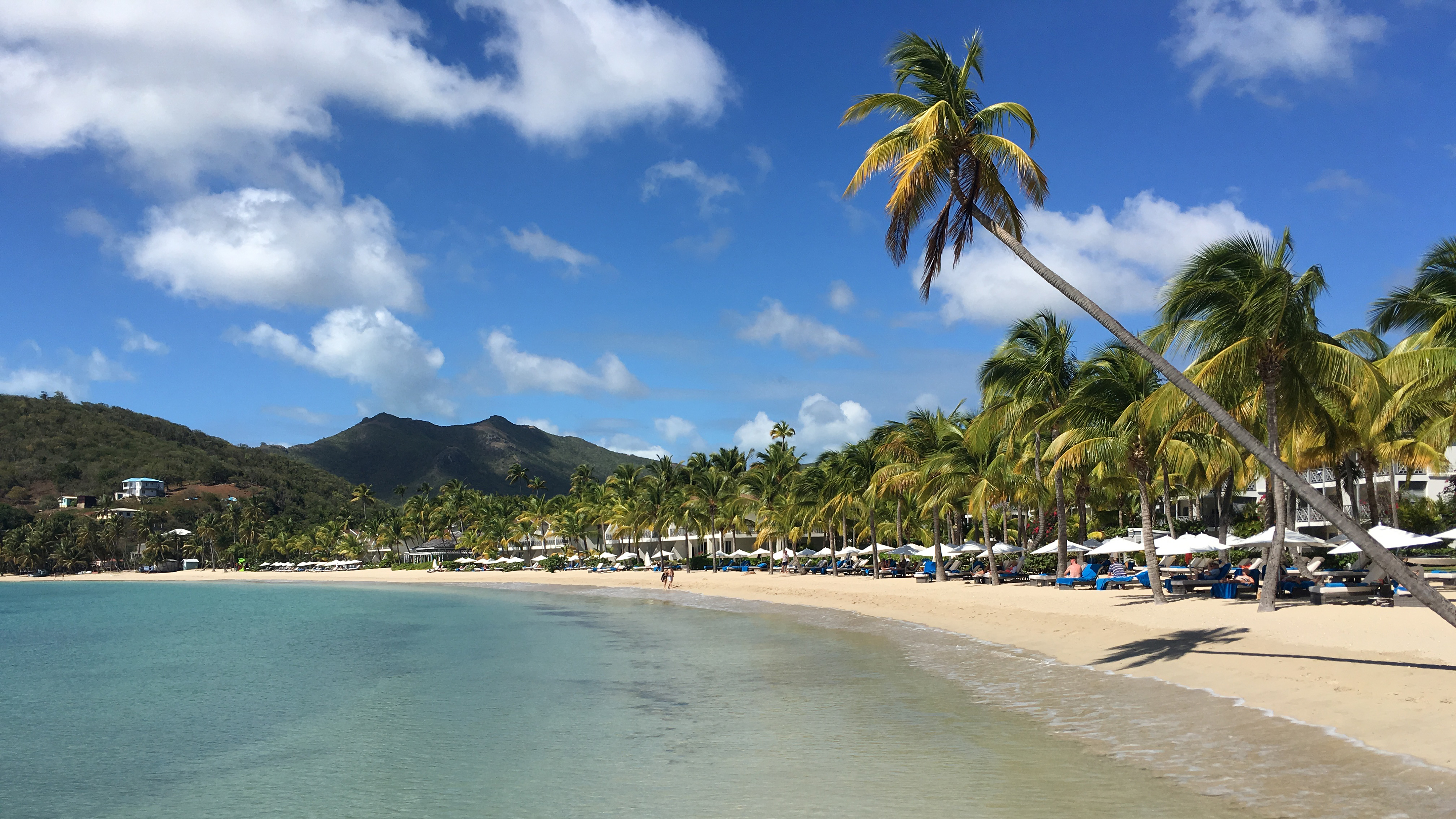 Photo by Sylvia Horne.