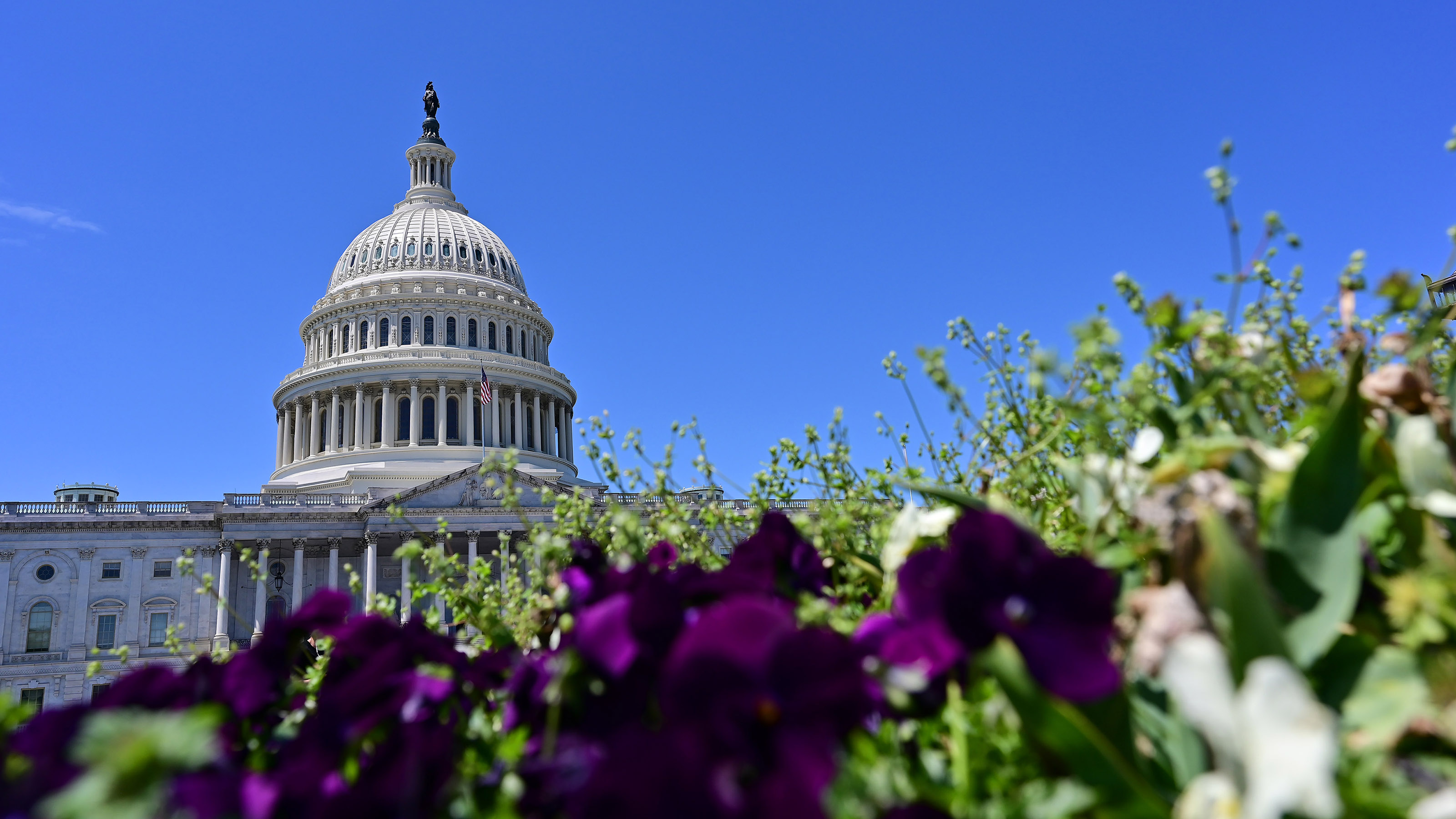The Capitol is home to the U.S. Congress and its House and Senate governing bodies, which have influence over general aviation. Photo by David Tulis.
