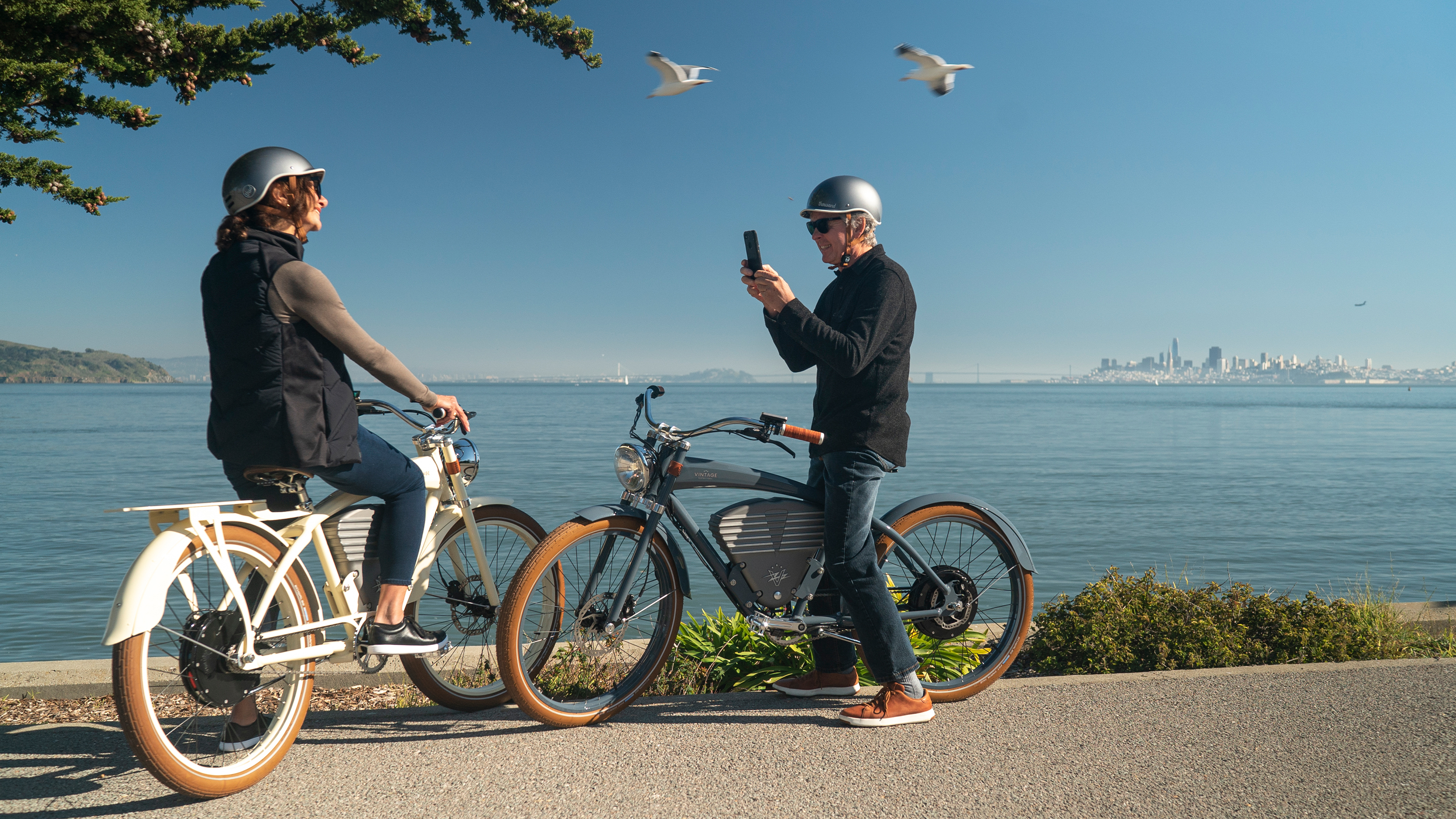 Ideal world outlet tv electric bike