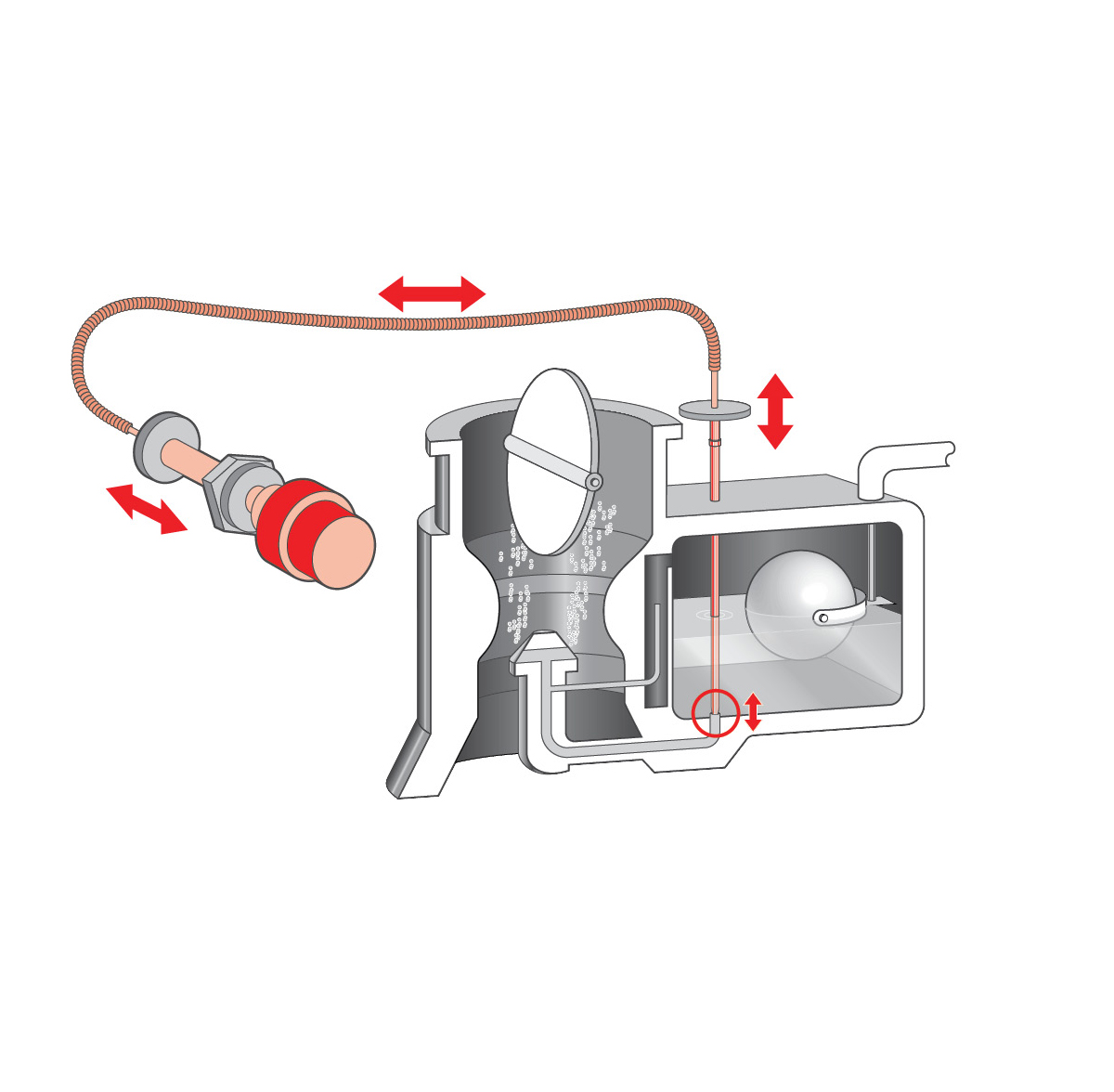Flight Training June