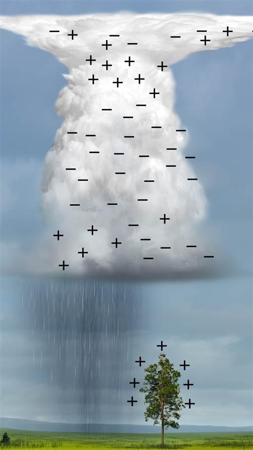 Weather