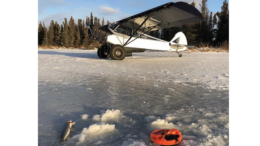 Letters to the editor