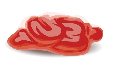 Illustrations by Daniel Hertzberg