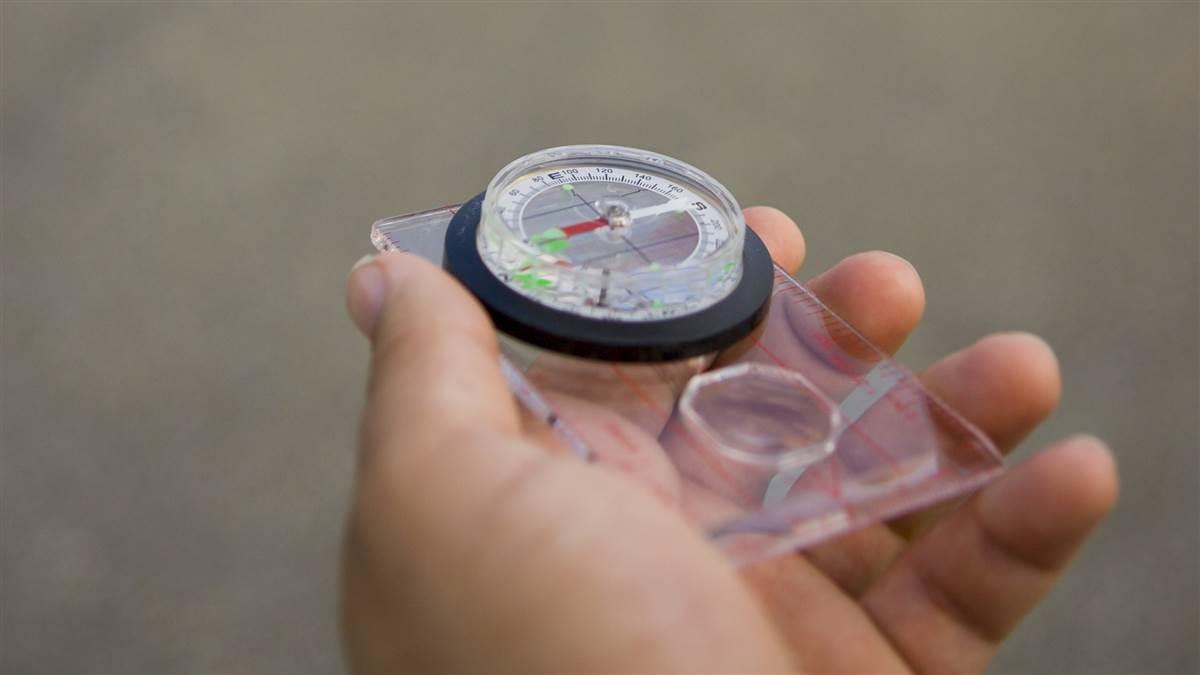 Magnetic online compass card