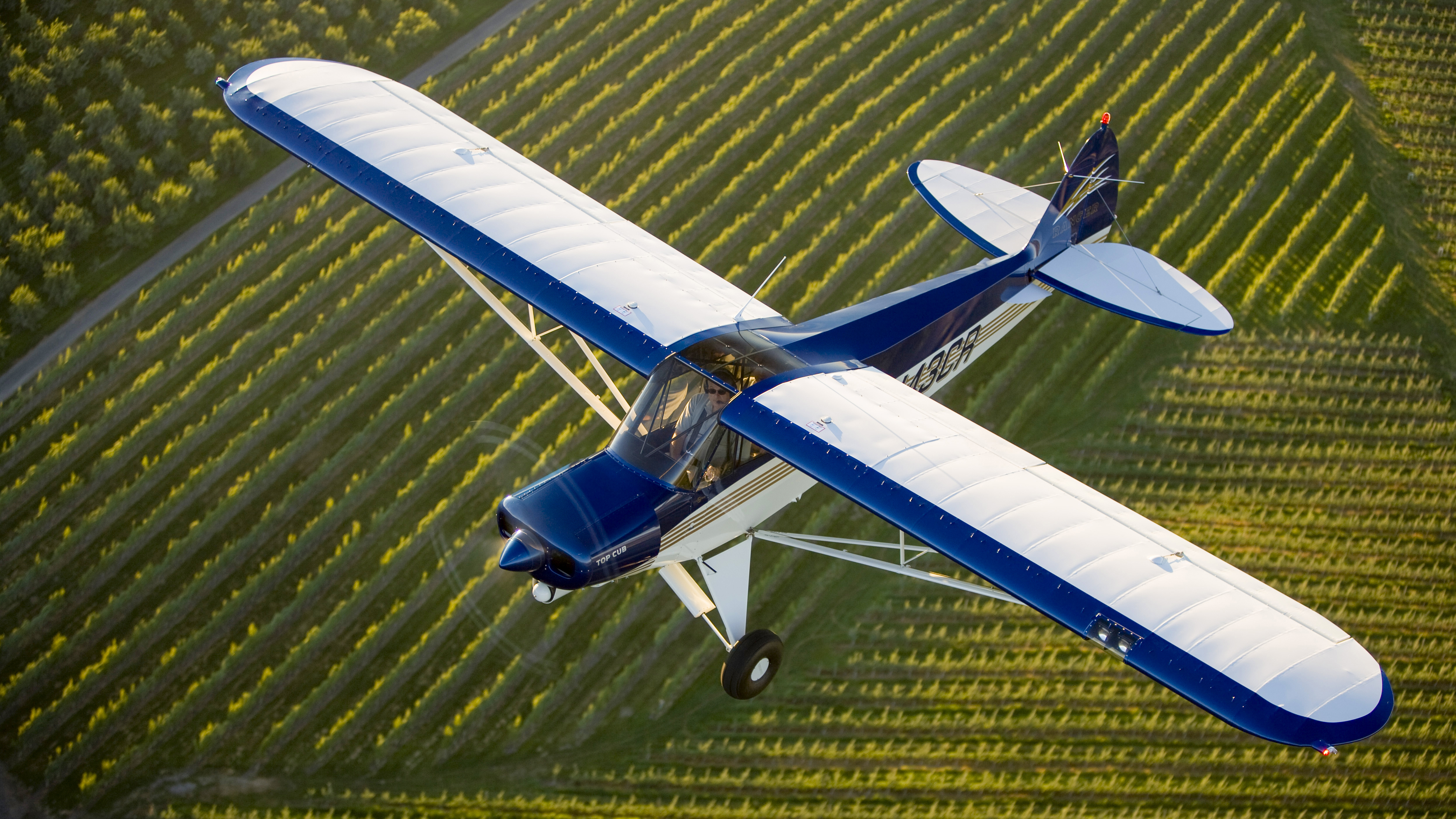 SLIDE SHOW COMPONENT