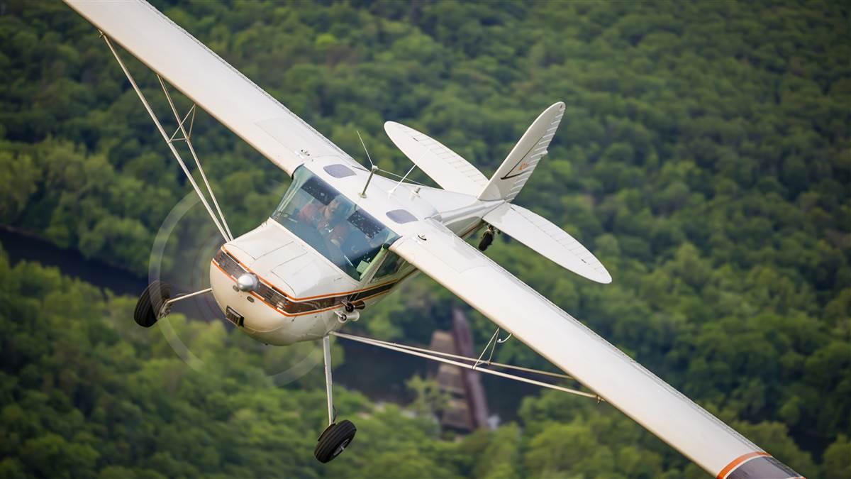 Photography by Chris Rose
 Photography by Chris Rose