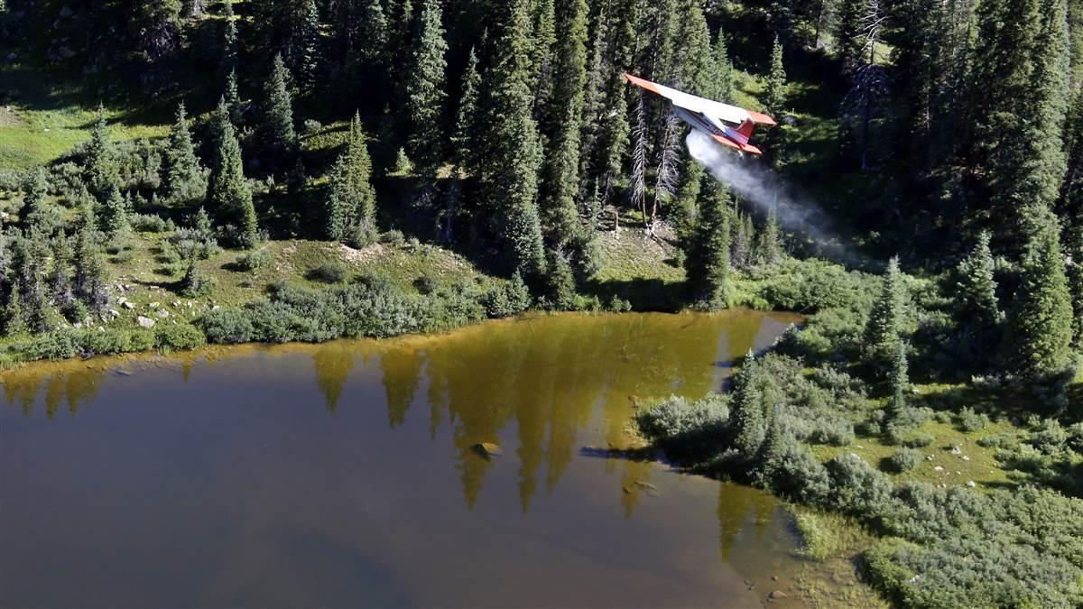 Photography by Mitch Bowers.