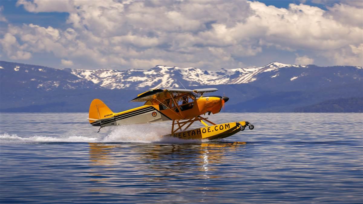 Photography by Chris Rose.