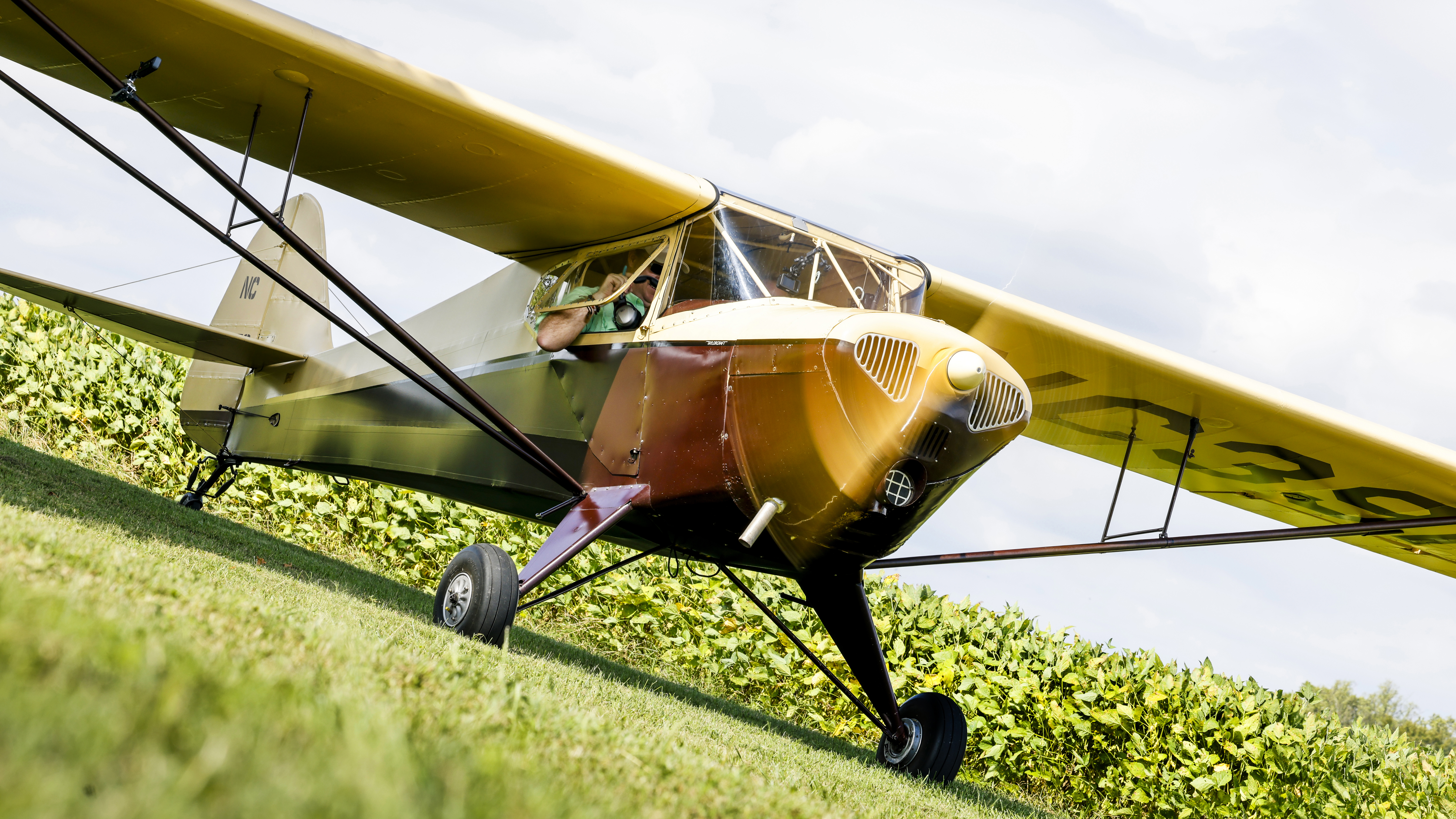 SLIDE SHOW COMPONENT