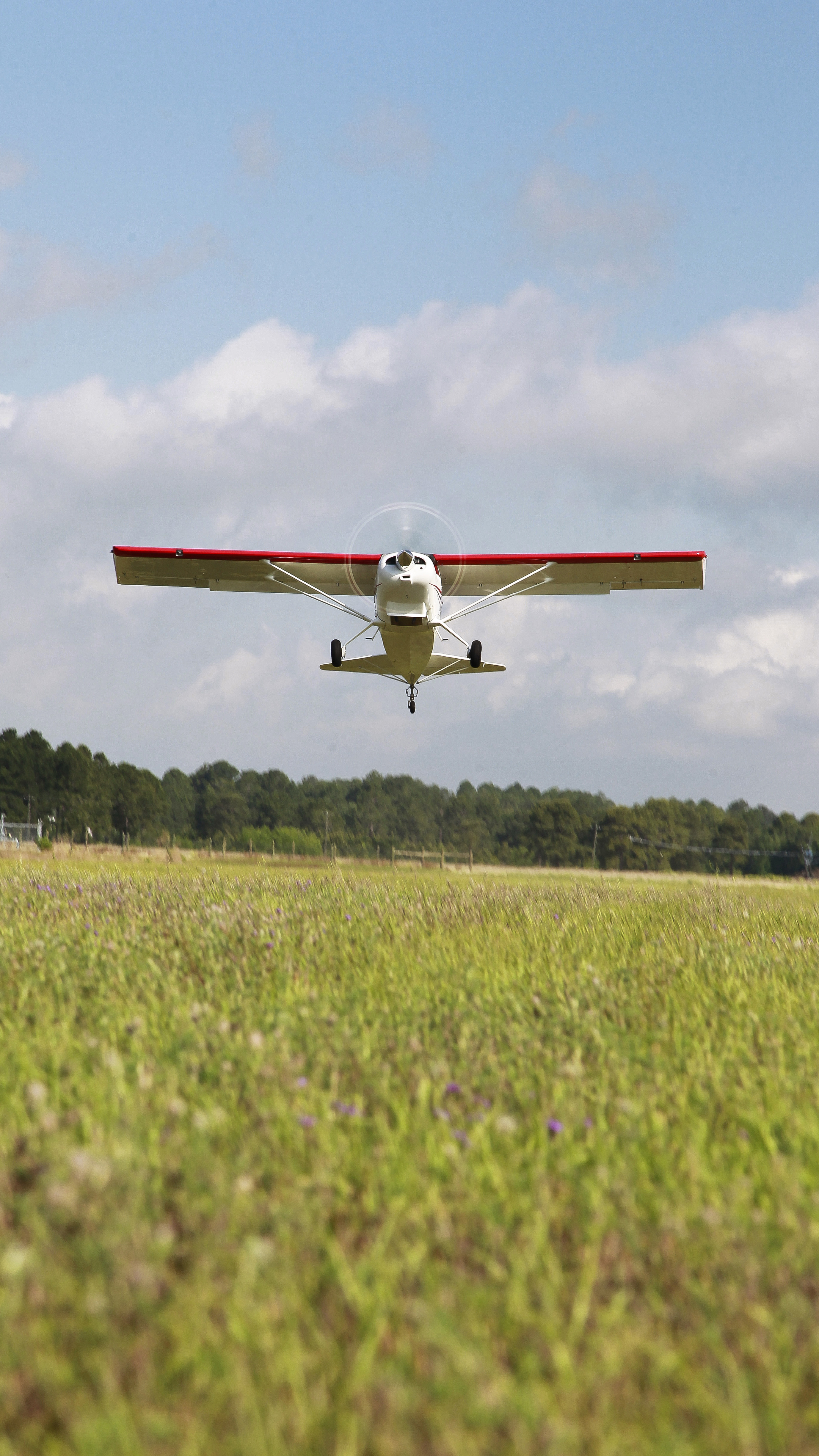 Landing on a real soft field will make you appreciate those soft field techniques even more. Photography by Chris Rose