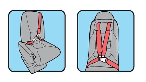 Harness Harness