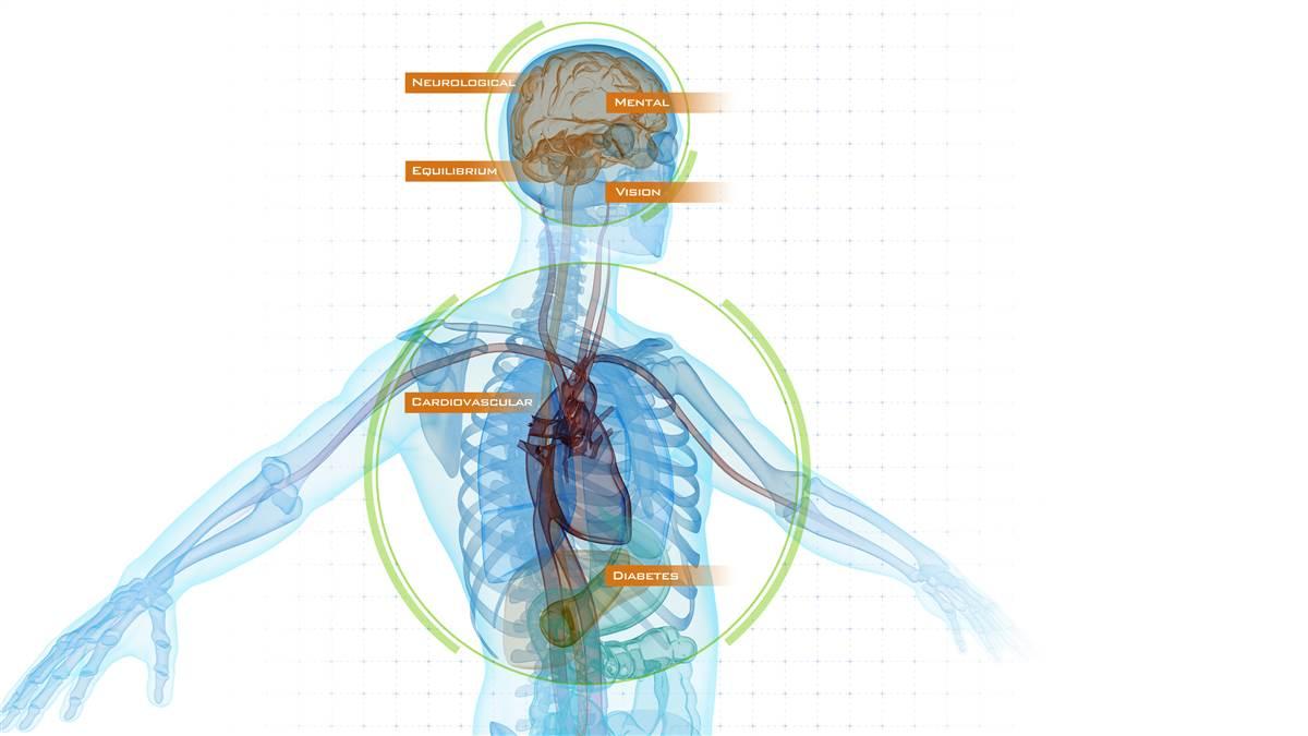 Medical Certification