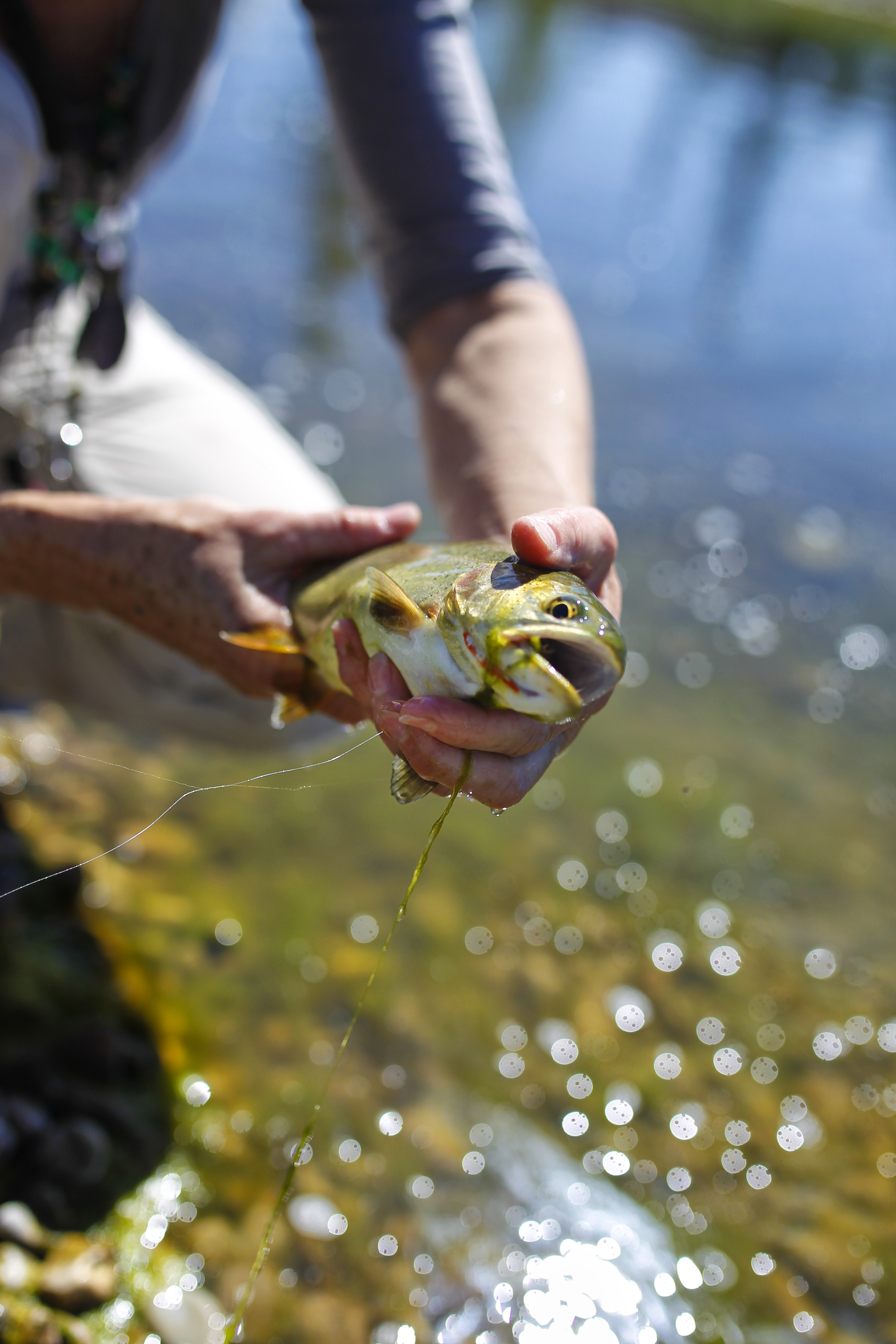 Wyoming's Alpine Airpark