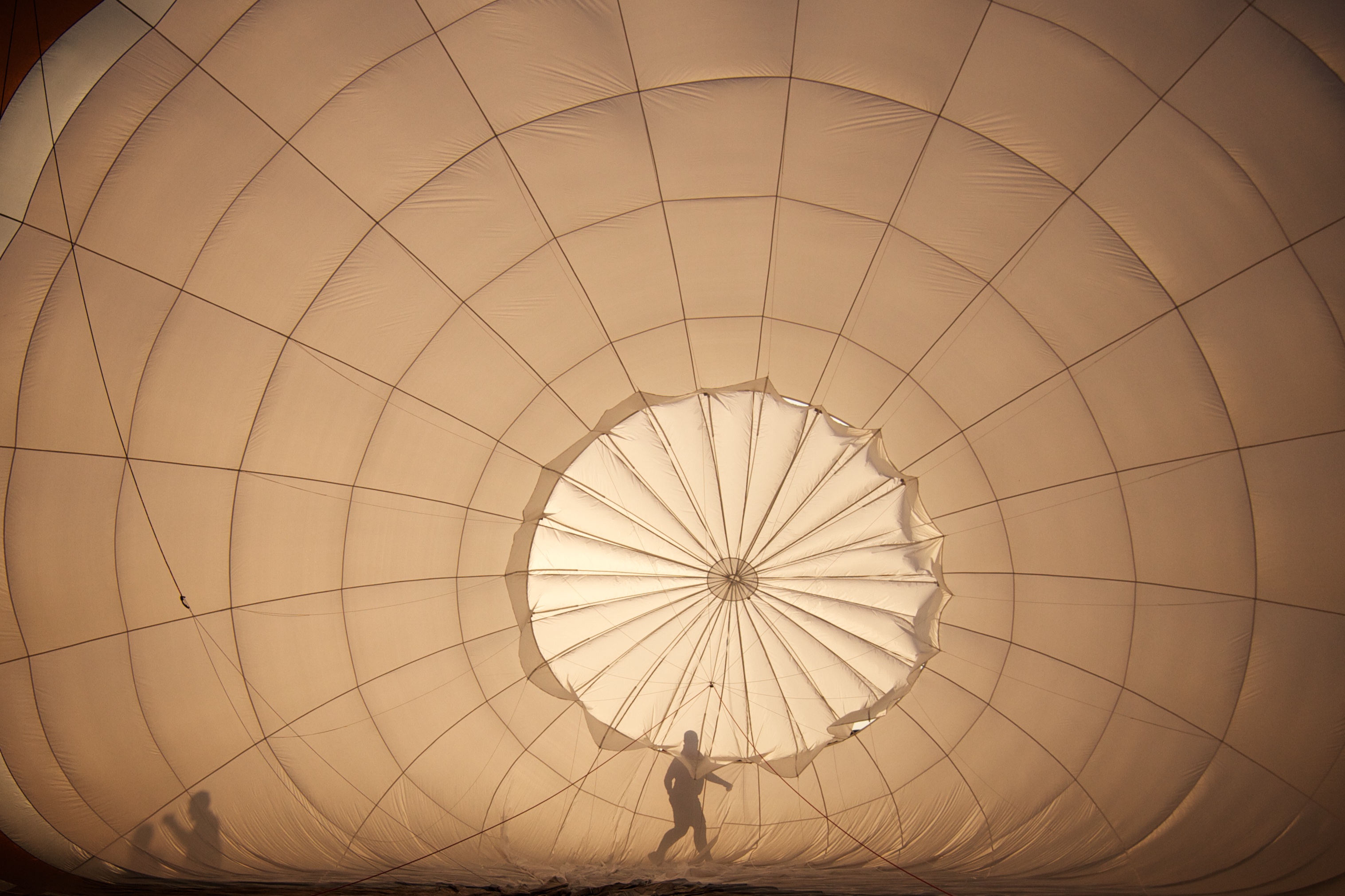 Photo contest winners and honorable mentions