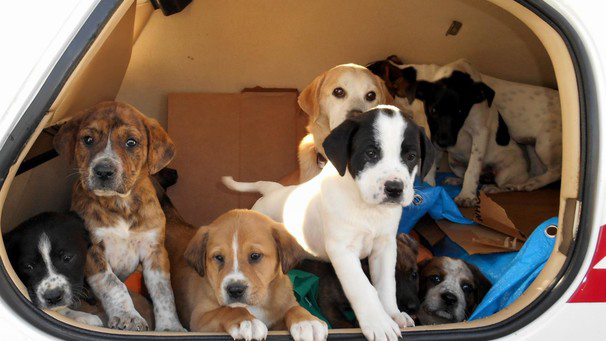 Photo contest winners and honorable mentions