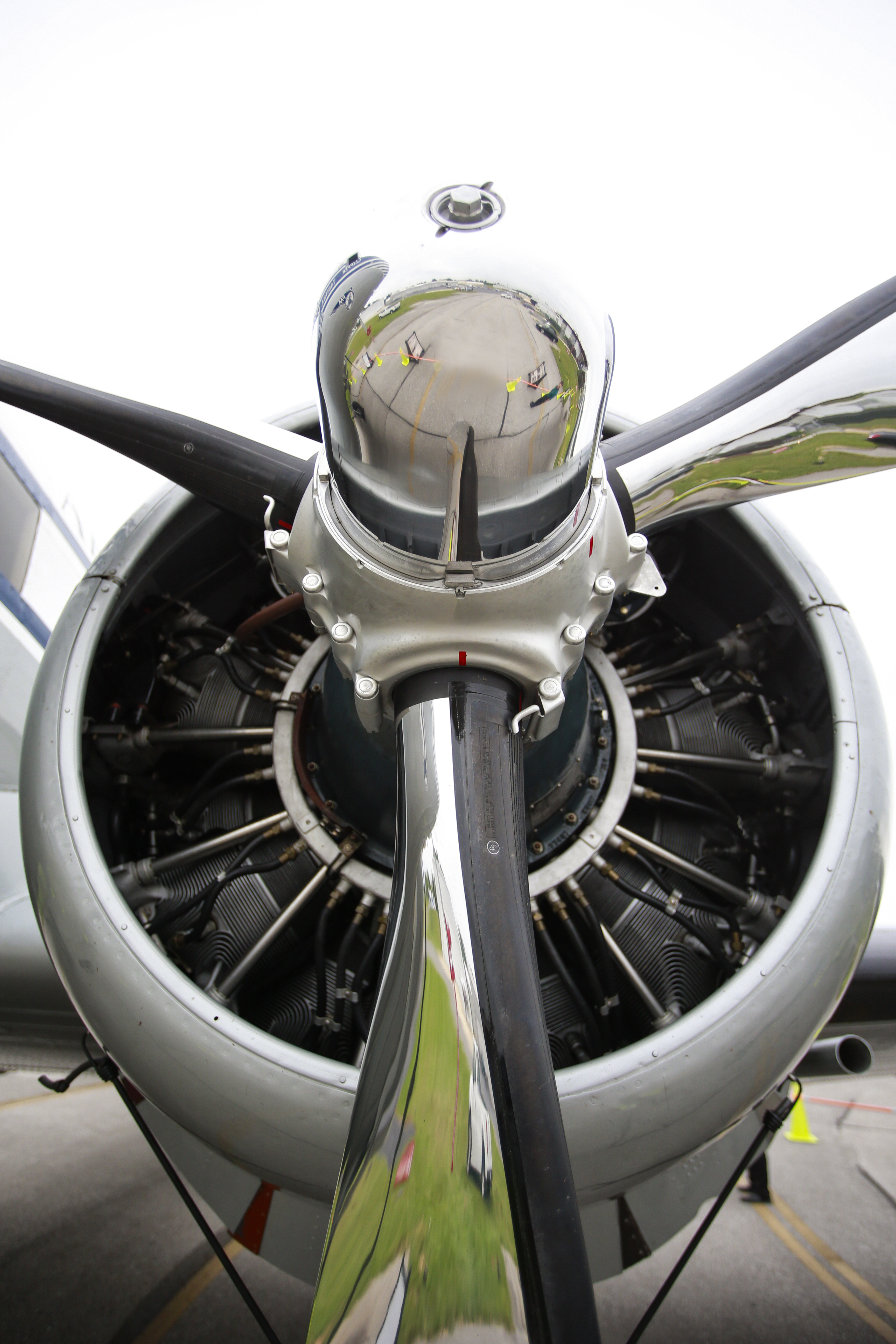 Clipper 'Tabitha May'