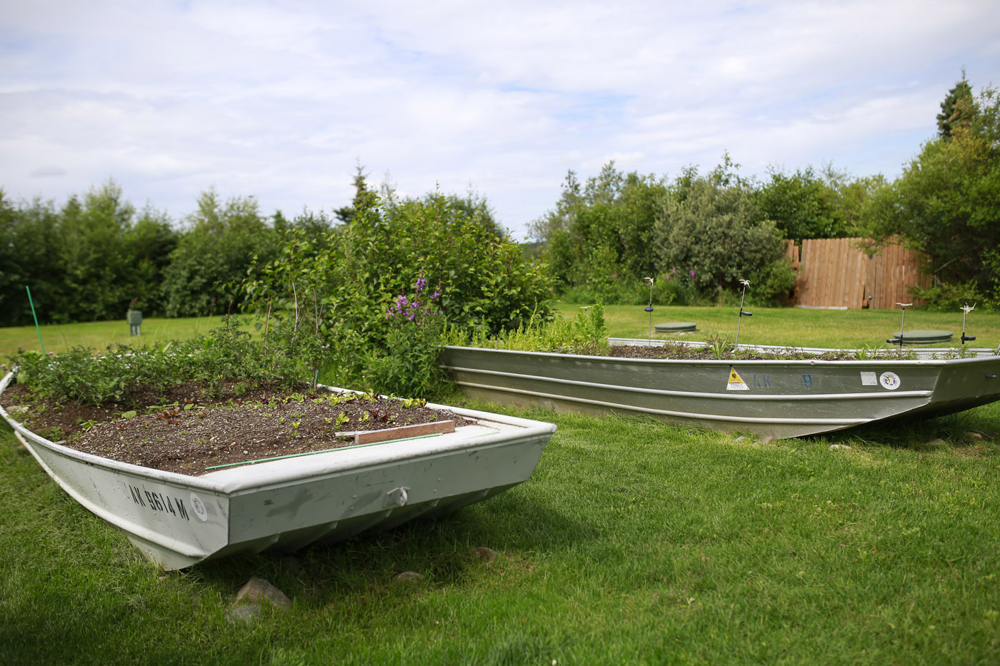 Adventures  Around Alaska Rainbow Lodge