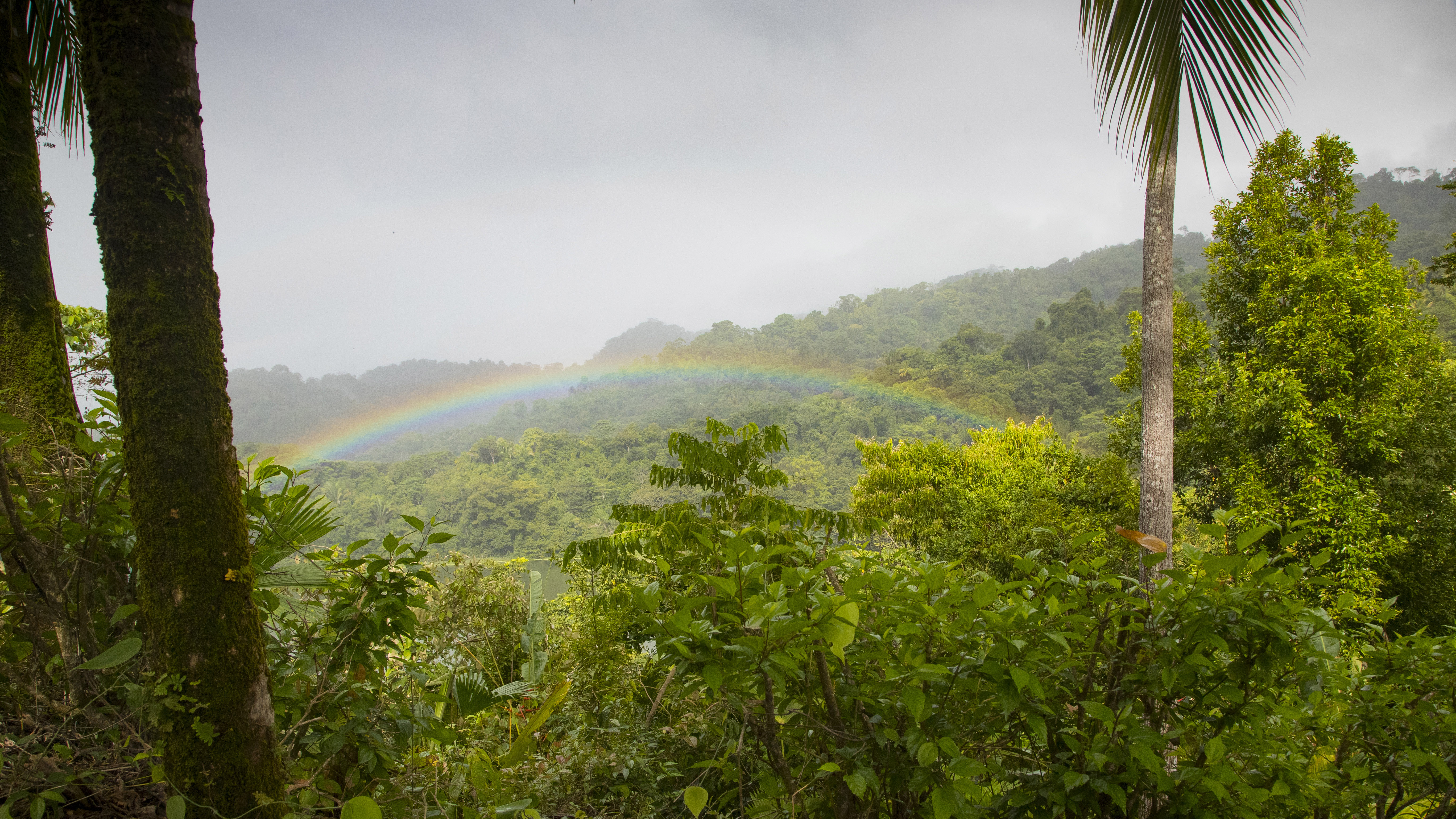 costa rica on the ground
