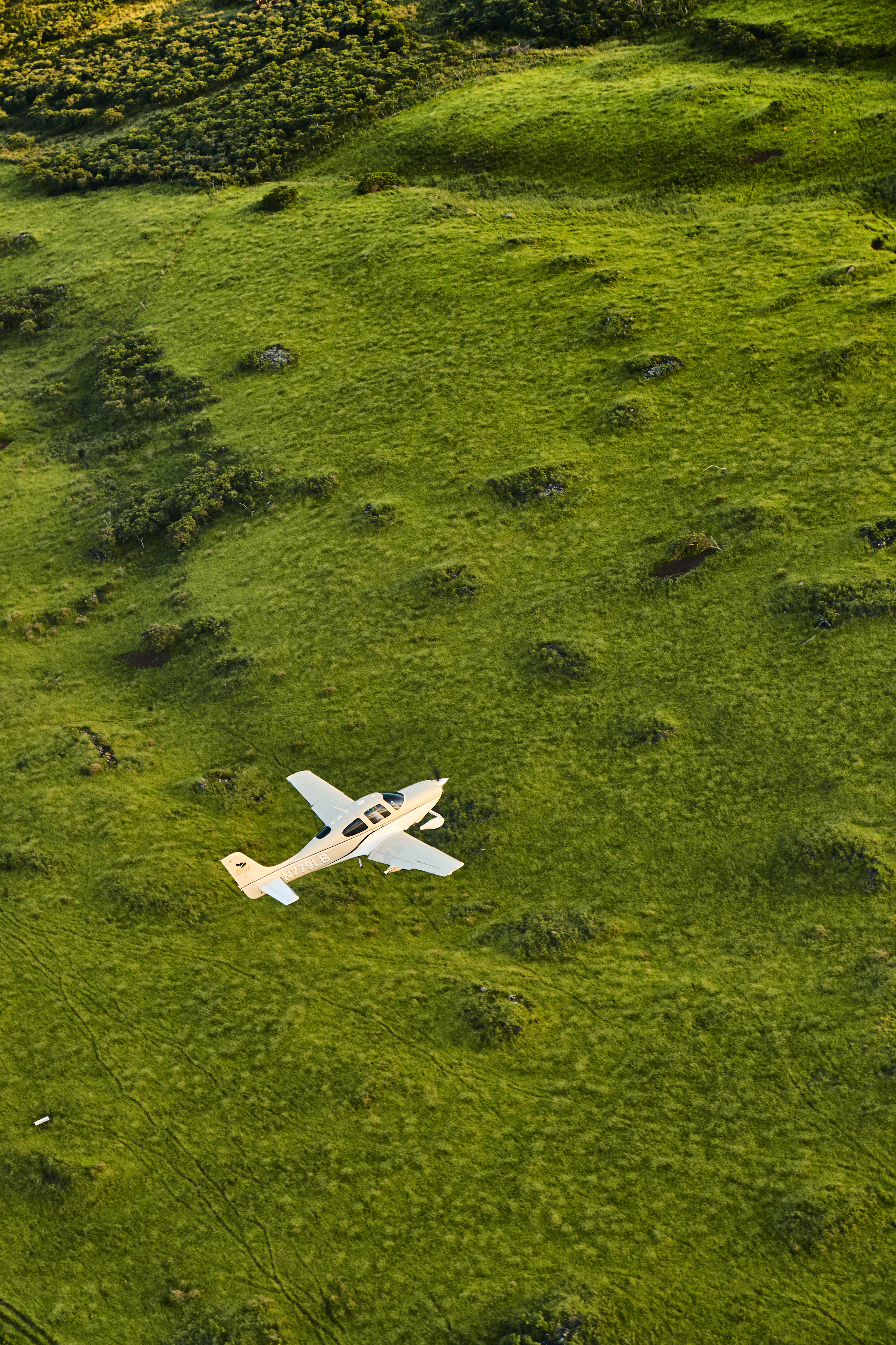 Entering the rain forest.